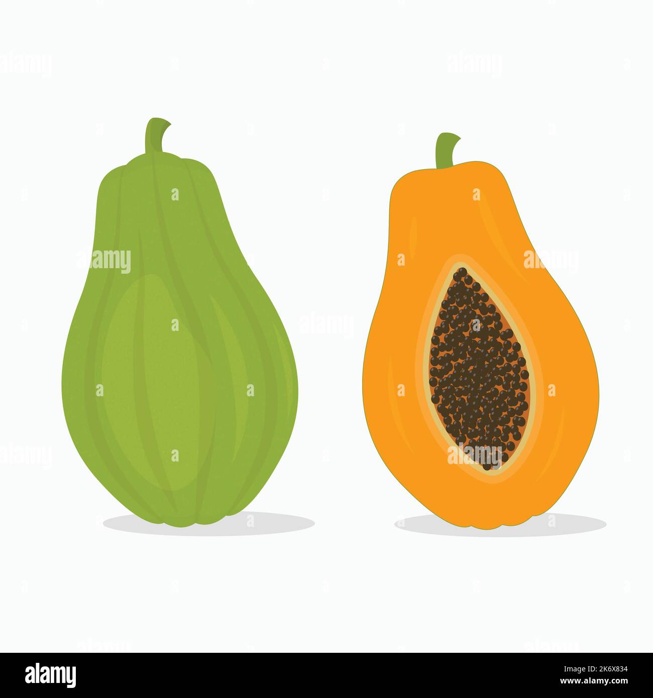 Illustrazione del vettore di frutta papaya intera e fetta Illustrazione Vettoriale