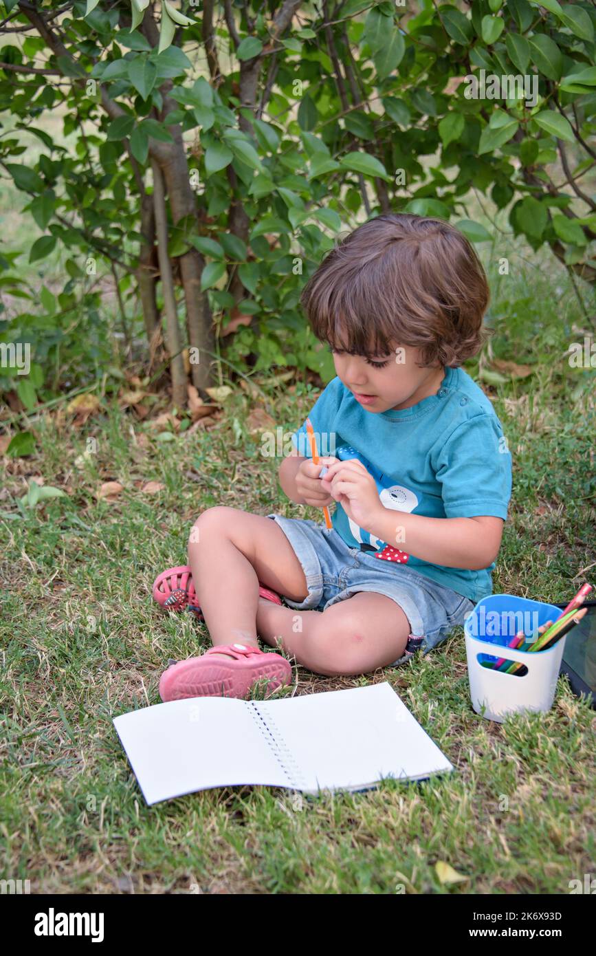 Ragazzo carino che fa i compiti adagiato sull'erba. Bambini che leggono un libro nel parco estivo. Concetto di apprendimento, studio, all'aperto nel parco per bambini. Foto Stock