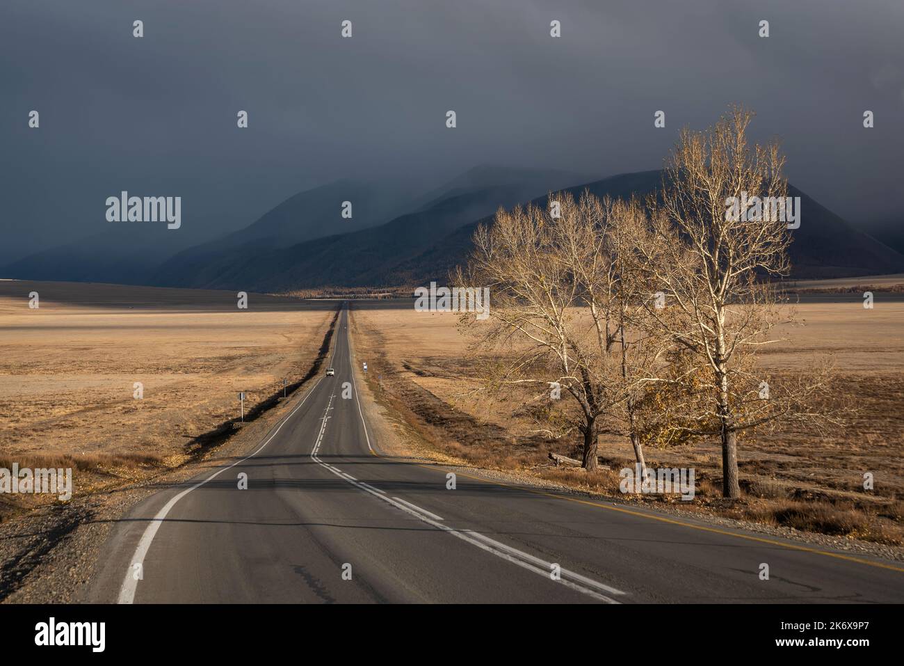 Splendida vista autunnale con strada asfaltata attraverso la steppa, alberi di pioppo sul lato della strada alla luce del sole, montagne e belle nuvole tempesta. Altai, Russi Foto Stock