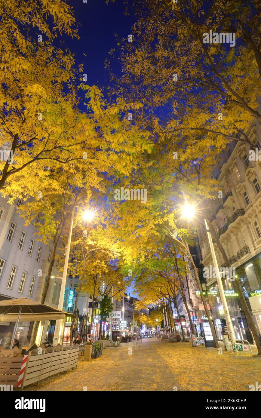 Wien, Mariahilferstraße im Herbst, Allee, Säulengleditdschie // Vienna, Mariahilfer Strasse in autunno, Gleditsia triacanthos 'Skyline' Foto Stock