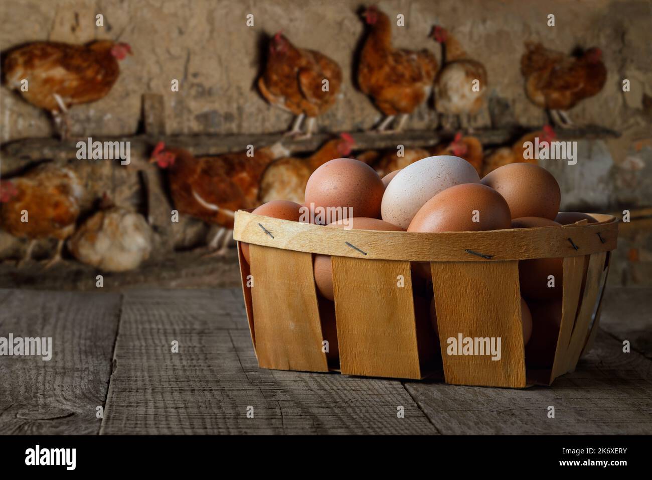 cestino pieno di uova di pollo sul tavolo con galline sul roost Foto Stock