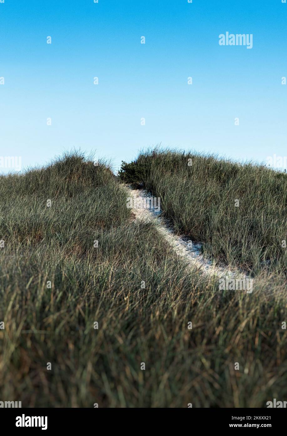 Sentiero costiero duna alla spiaggia. Foto Stock