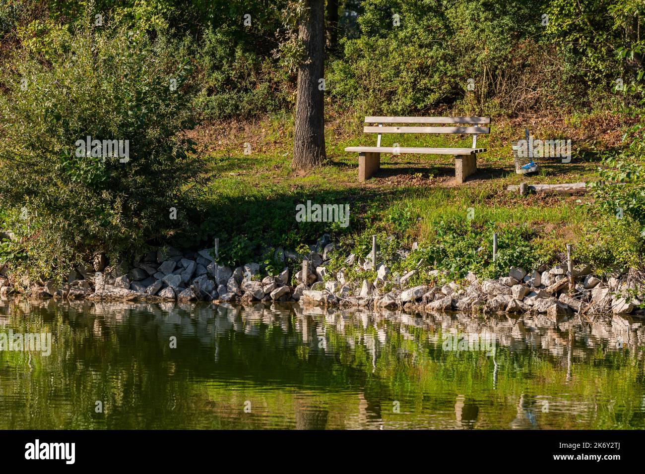 Una panca di legno su un sentiero vicino ad un lago invita a riposare, Germania Foto Stock