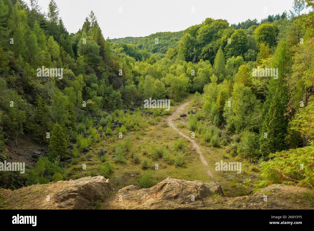 2019 ottobre - Trail in lontananza nella foresta di Dean, Inghilterra, Regno Unito. Foto Stock