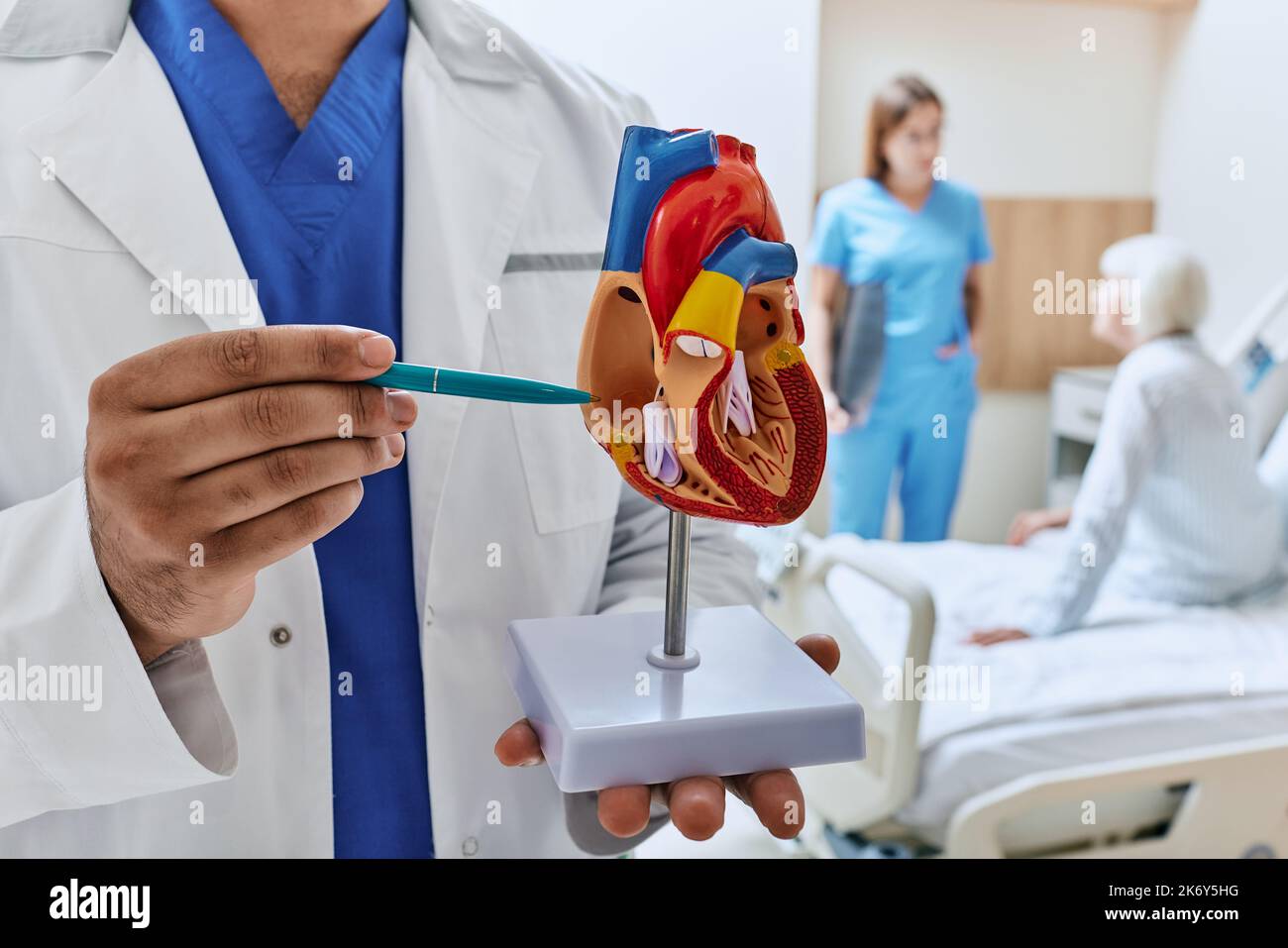 Paziente anziano in reparto di cardiologia dell'ospedale con medici che analizzano la sua salute e mostrano il modello anatomico del cuore. assistenza medica per i pazienti con Foto Stock