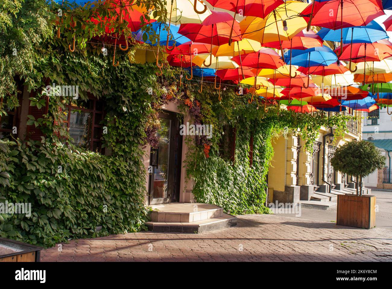 Ombrelloni luminosi e colorati decorano un ristorante. La casa coperta di uva selvatica. Decorazioni in strada con ombrelloni a Kiev, Ucraina Foto Stock