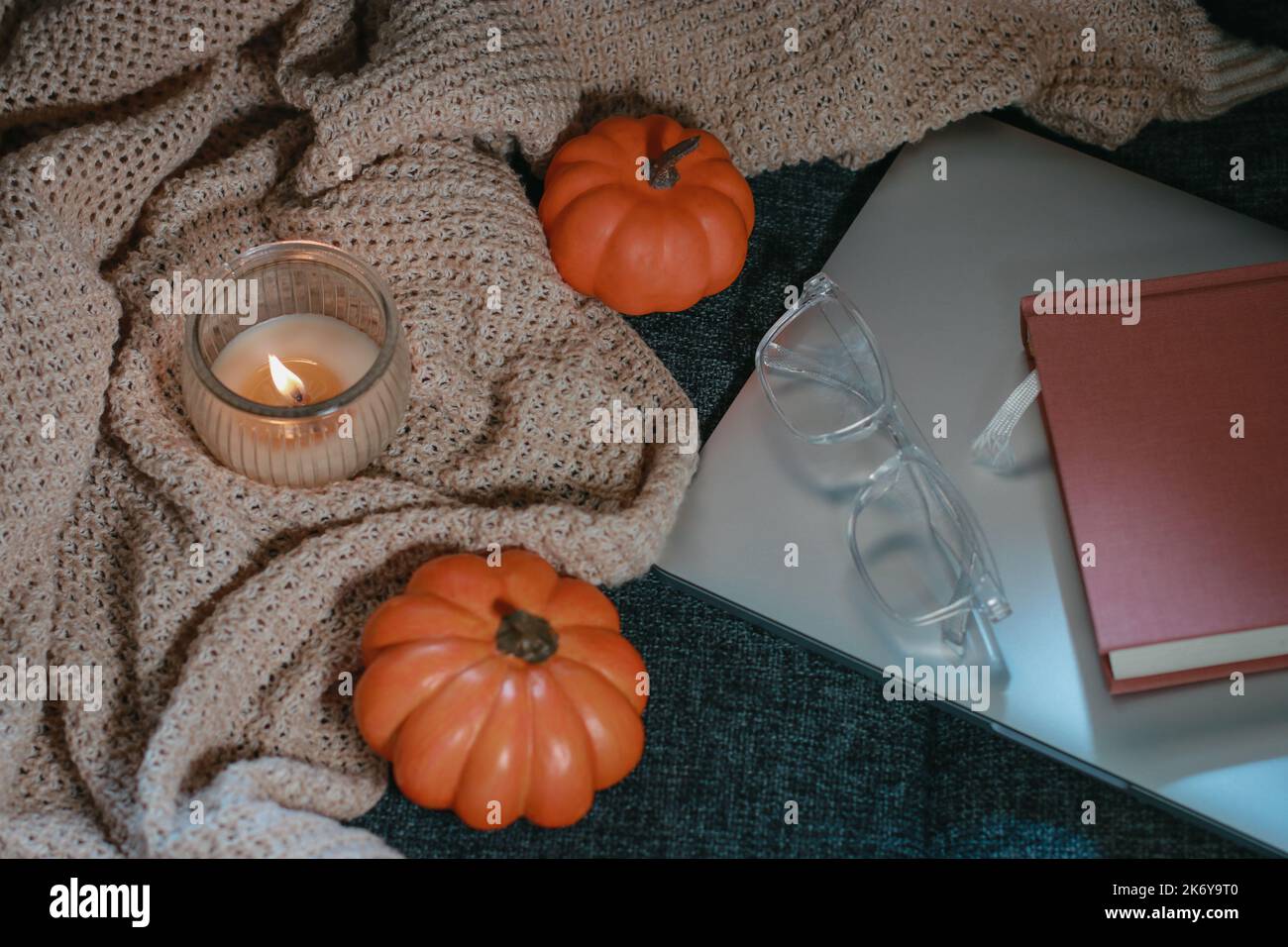 Zucche piccole, intime coperte a maglia, notebook e bicchieri sul divano Foto Stock