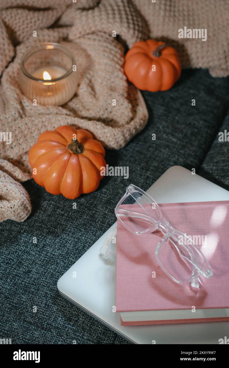 Zucche piccole, intime coperte a maglia, notebook e bicchieri sul divano Foto Stock