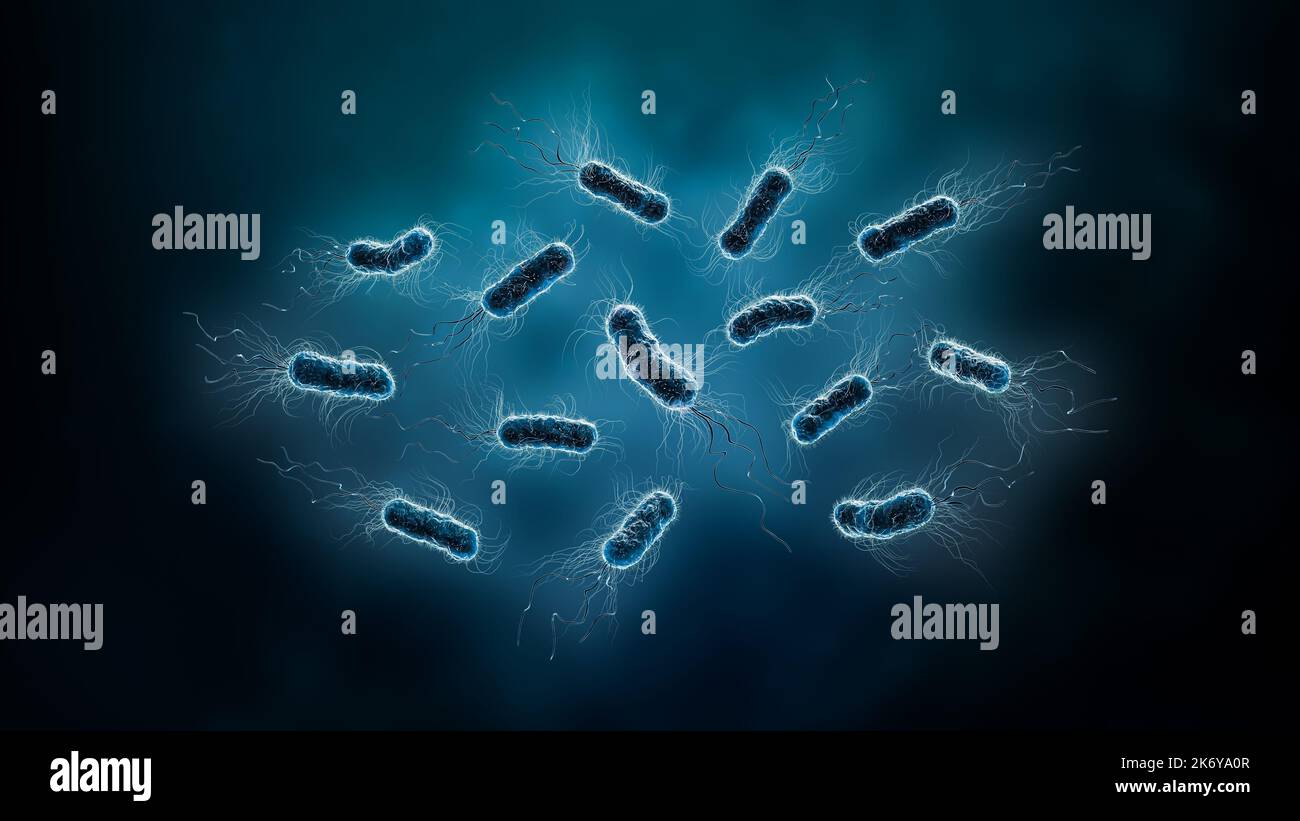 Gruppo di batteri, come Escherichia o E. Coli, o bacilli 3D che rendono l'illustrazione. Concetti di microbiologia, biologia, medicina, sanità, scienza. Foto Stock