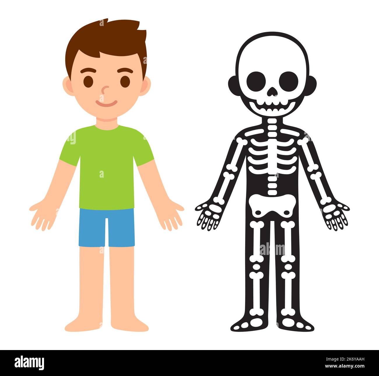 Cartoon Child Skeleton Anatomy Chart. Semplice rappresentazione vettoriale piatta del ragazzo e delle sue ossa. Clip vettoriale isolata art Illustrazione Vettoriale
