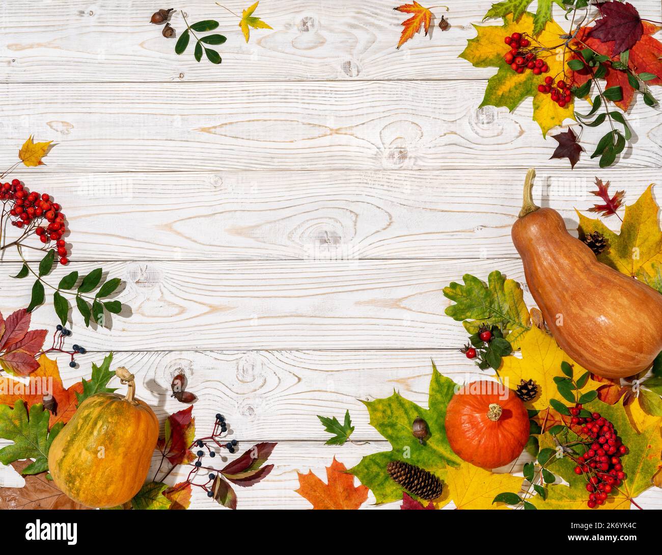 Decorazioni autunnali festive con zucche, bacche e foglie su sfondo di legno bianco. Concetto del giorno del Ringraziamento Foto Stock