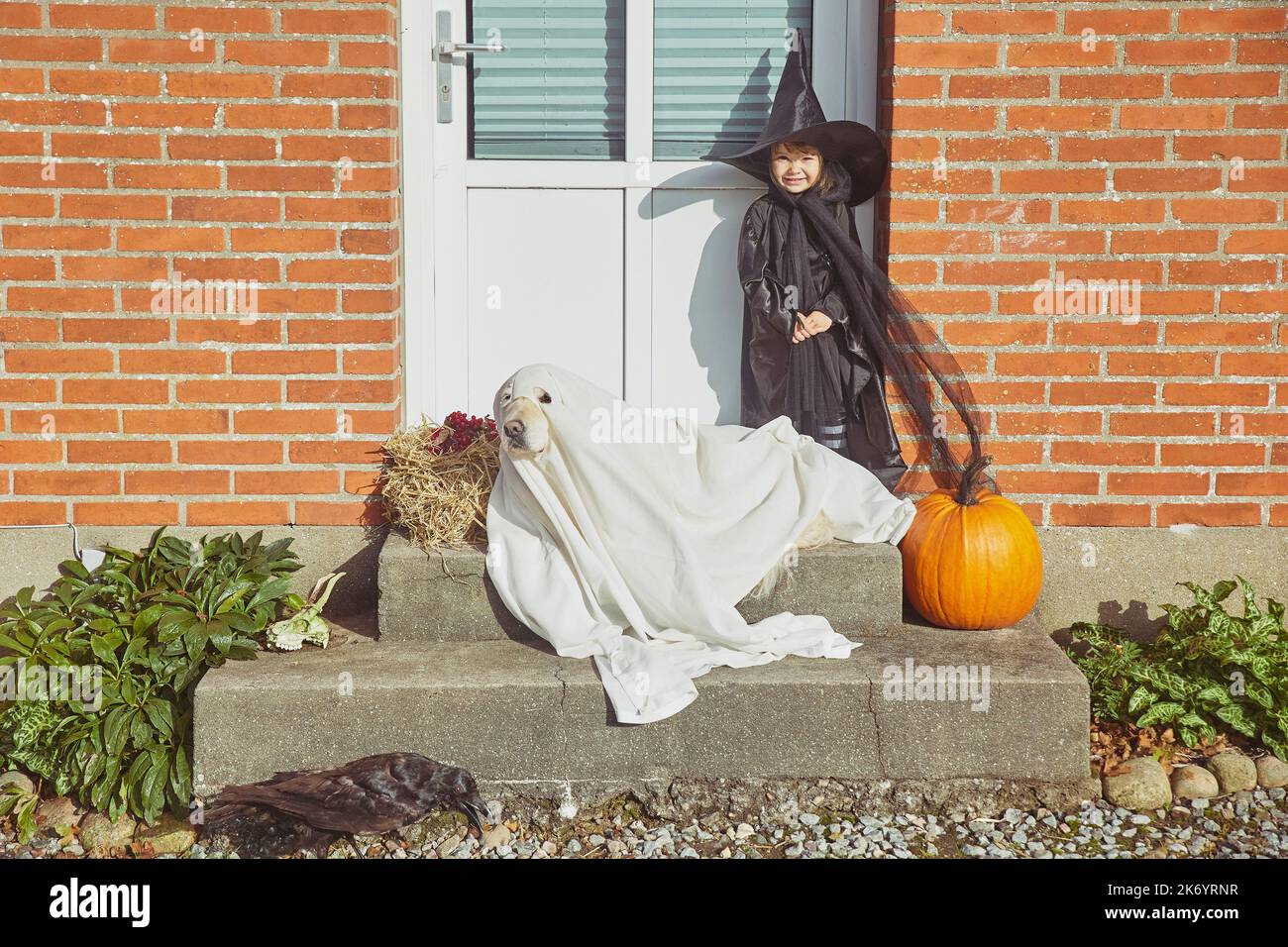 Adorabile bambino con cane sul portico vestito in costumi di Halloween Foto Stock