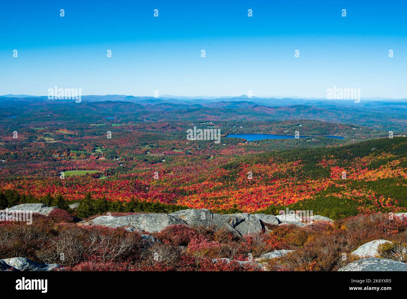 Foresta del New Hampshire da un giorno di autunno soleggiato Foto Stock