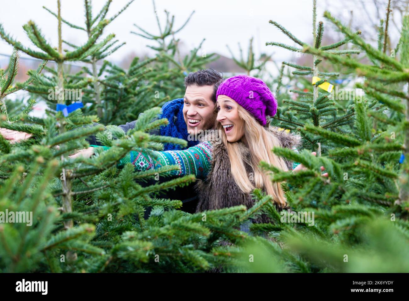 Giovane cercando di acquistare gli alberi di Natale Foto Stock