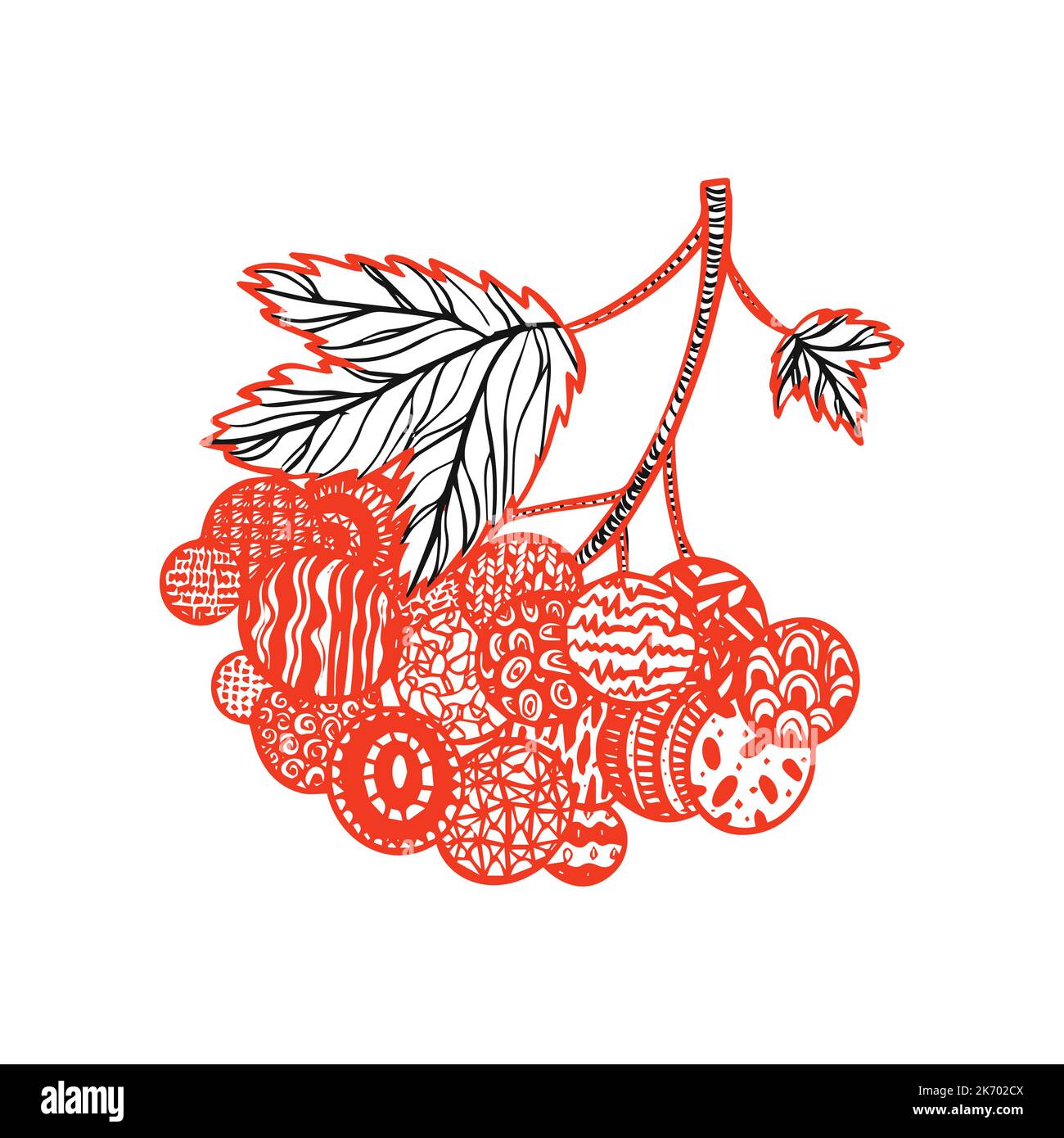 Viburnum disegno a mano Illustrazione Vettoriale