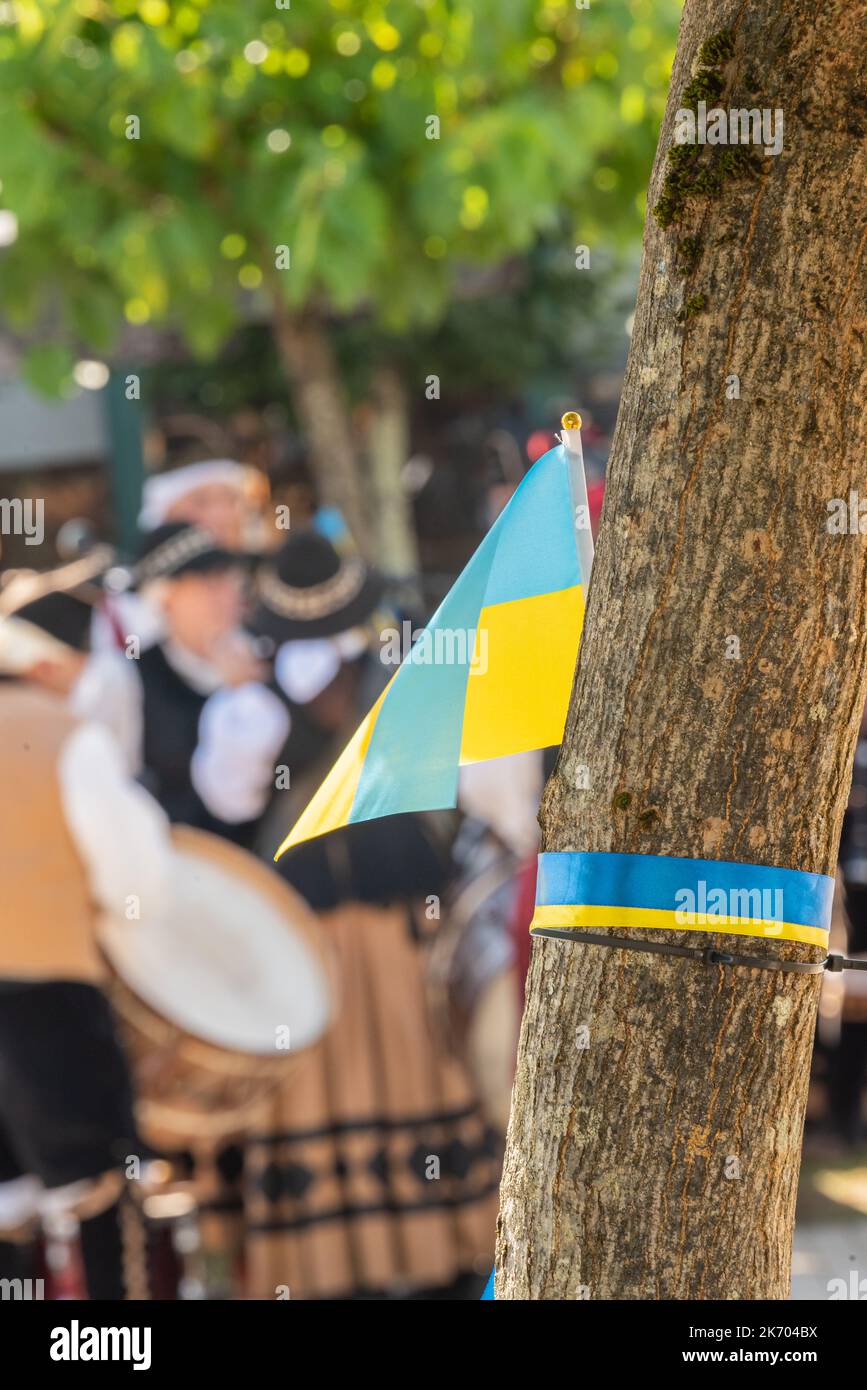 Bandiera Ucraina su un albero con musica tradizionale galiziana in un evento di scambio culturale di solidarietà Foto Stock