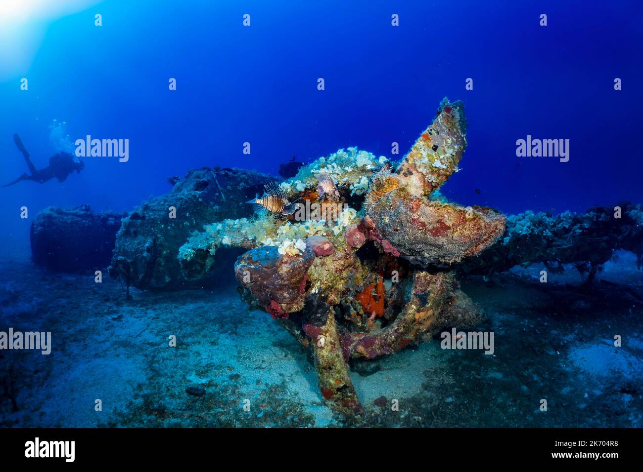 Un velivolo da caccia a due aerei da guerra sommersi sul fondale marino del Mar Egeo Foto Stock