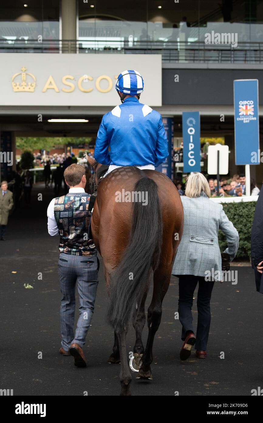 Ascot, Berkshire, Regno Unito. 15th ottobre 2022. Horse Baeed guidato dal jockey Jim Crowley ha concluso quarto nella QIPCO Champion Stakes (Classe 1) (British Champions Middle Distance) (Gruppo 1). Questa è stata l'ultima gara per Baeed prima del pensionamento. Credito: Maureen McLean/Alamy Foto Stock