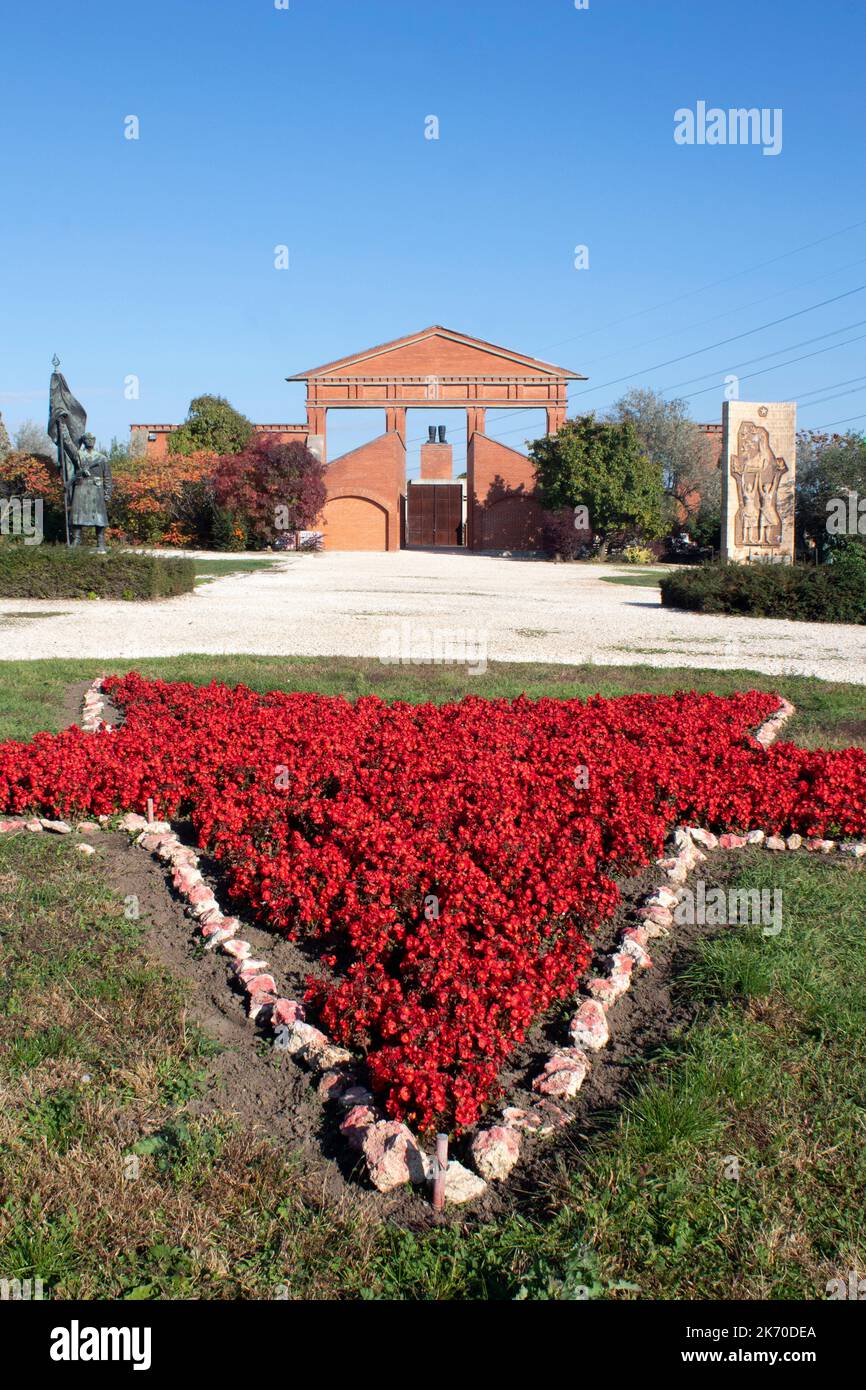 Fiori rossi a forma di stella nel Parco del Memento un museo all'aperto per statue monumentali del periodo comunista ungherese, Budapest, Ungheria Foto Stock