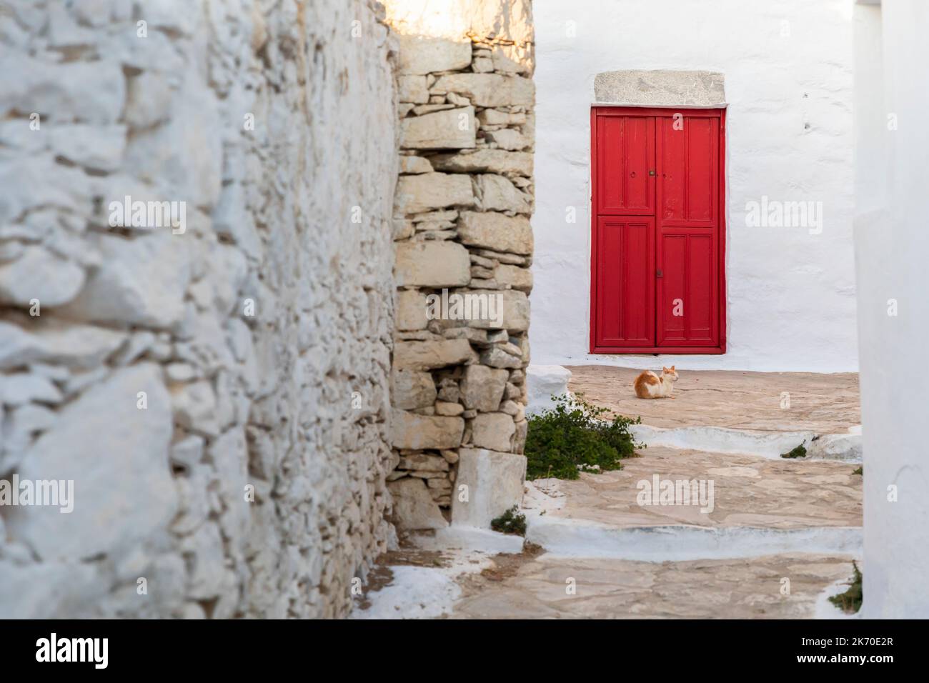 Gatto su strada di pietra con porta rossa ad Amorgos, Grecia Foto Stock