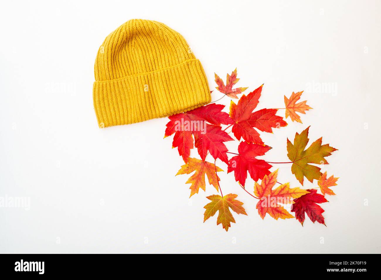 Le foglie di acero rosso naturale cadono da un cappello giallo lavorato a maglia. Abiti caldi per il freddo nella stagione autunnale. Vista dall'alto, immagine minima, spazio di copia.Autunno Foto Stock