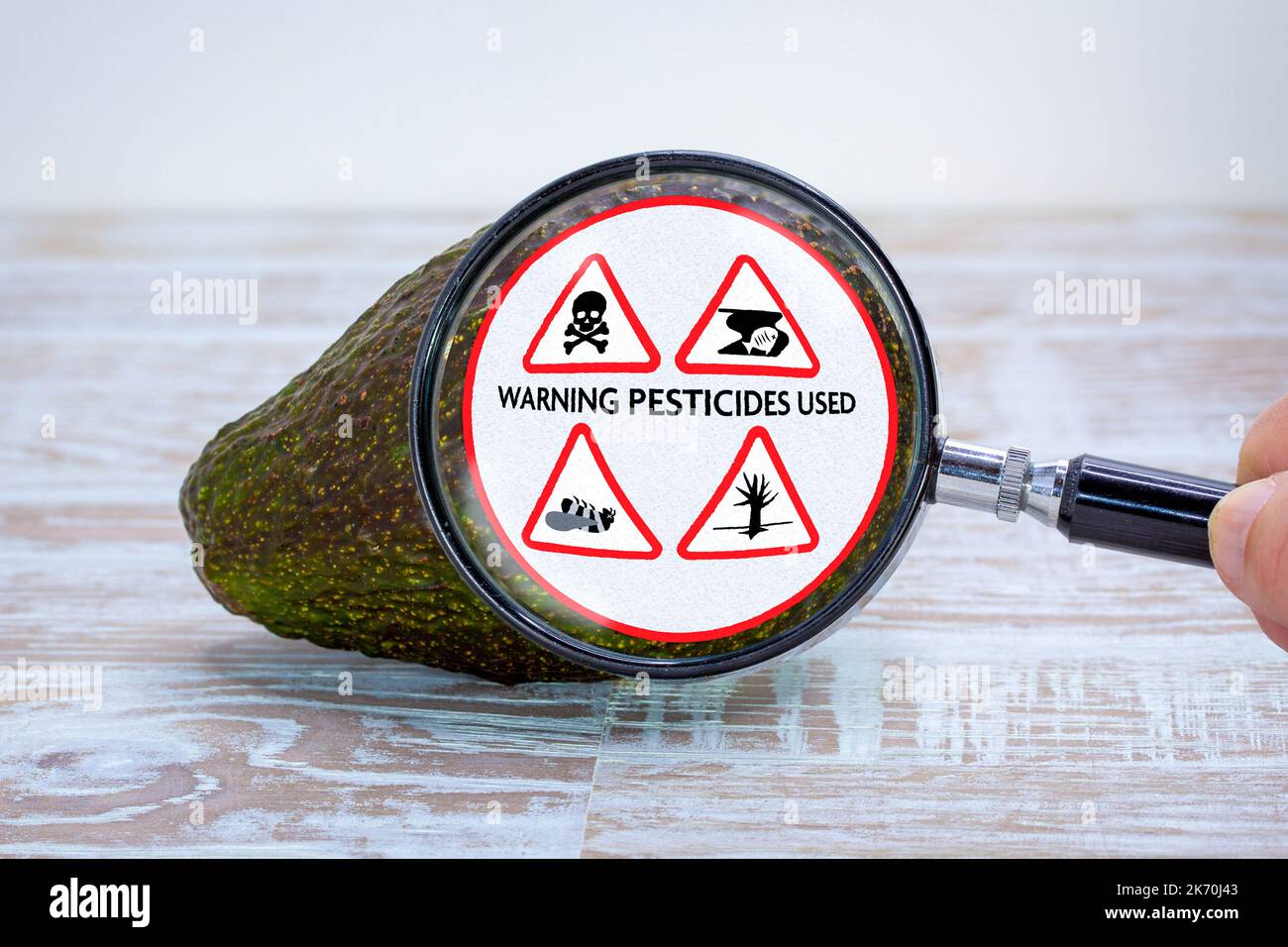 Etichetta ingrandita sull'avocado, segnalazione di danni ambientali causati dall'uso di pesticidi ed erbicidi nella produzione alimentare agricola industriale, cop27 Foto Stock