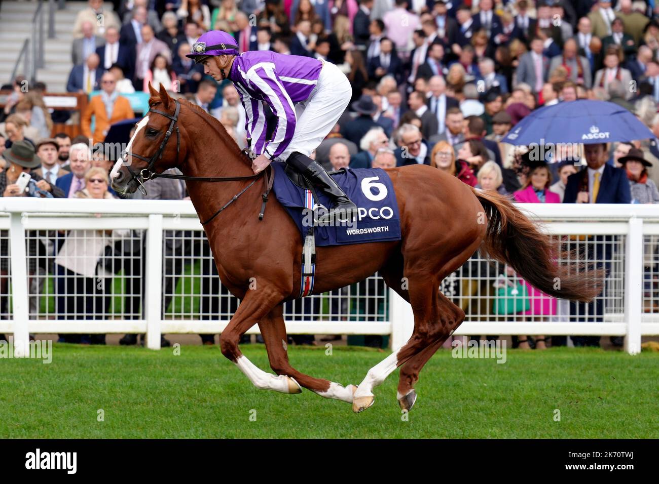 Wordsworth guidato da James Doyle va a postare nella Qipco British Champions Long Distance Cup durante il QIPCO British Champions Day all'ippodromo di Ascot, Berkshire. Data immagine: Sabato 15 ottobre 2022. Foto Stock