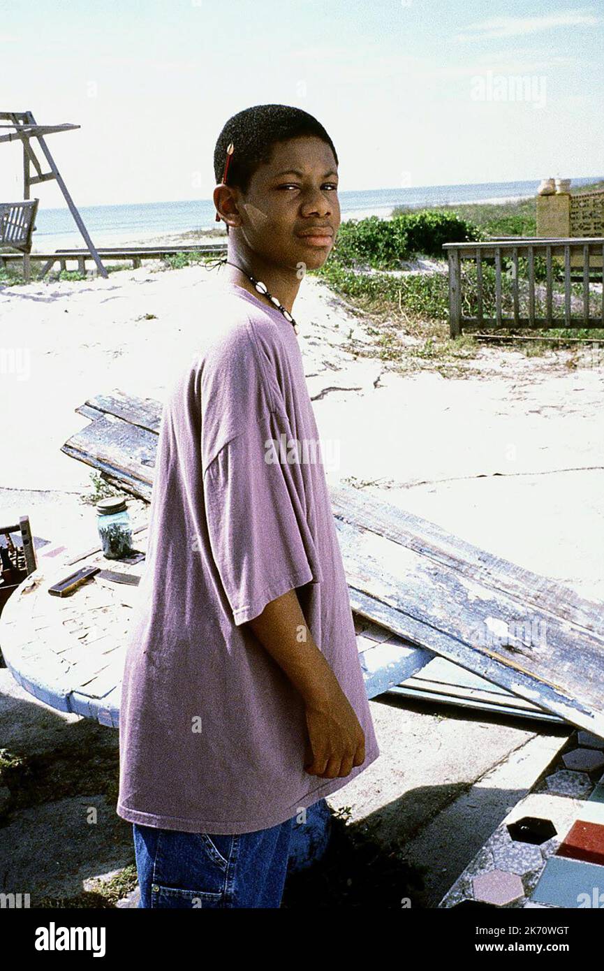 ALEX LEWIS, SUNSHINE STATE, 2002 Foto Stock