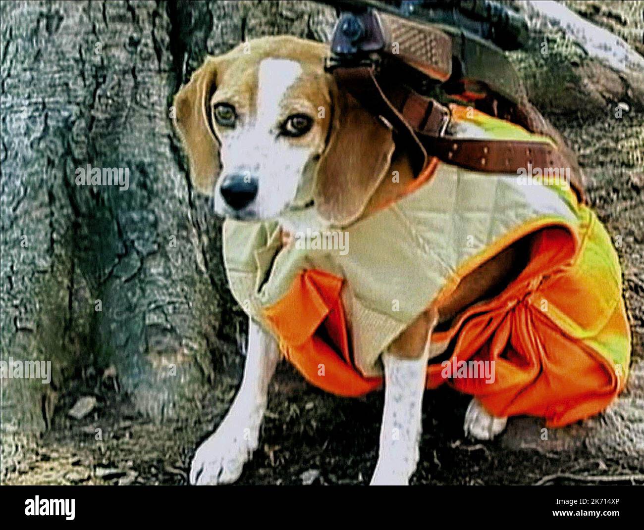 SHELBY IL CANE PORTA ARMI, BOWLING PER COLUMBINE, 2002 Foto Stock