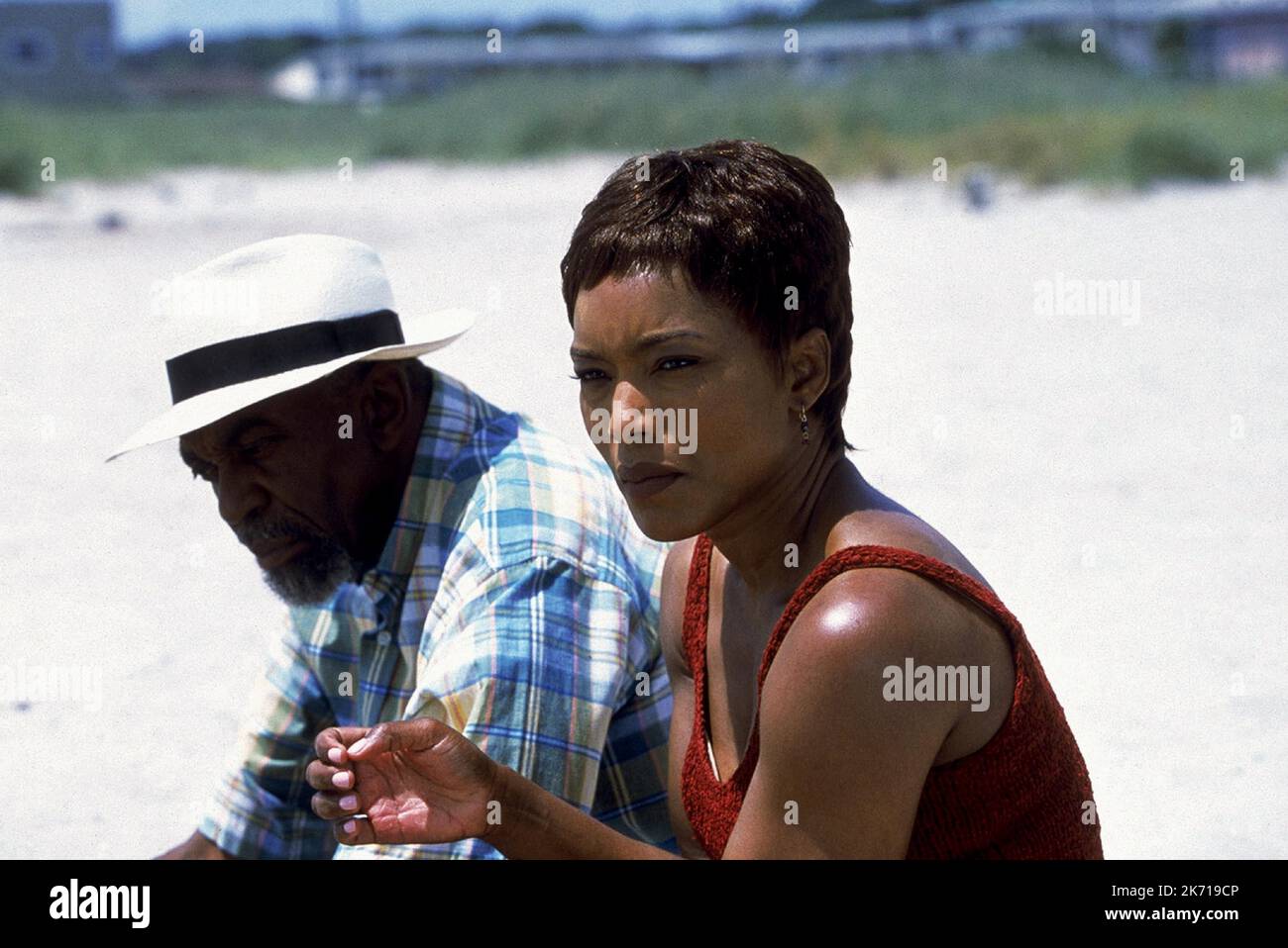 COBBS, BASSETT, SUNSHINE STATE, 2002 Foto Stock