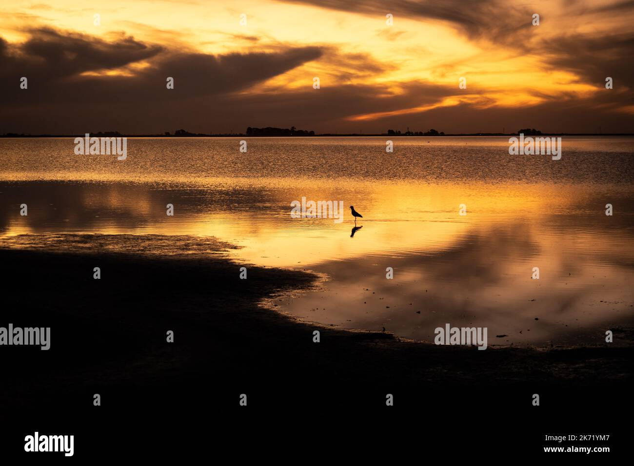 Paesaggio lagunare durante il tramonto. Uccelli di medie dimensioni che modellano la silhouette. Foto Stock