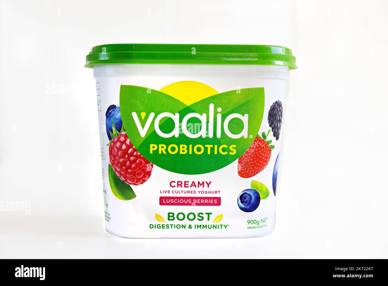 Cibo / Una vasca di Vaalia Brand Probiotics yogurt, prodotto in Australia. Foto Stock
