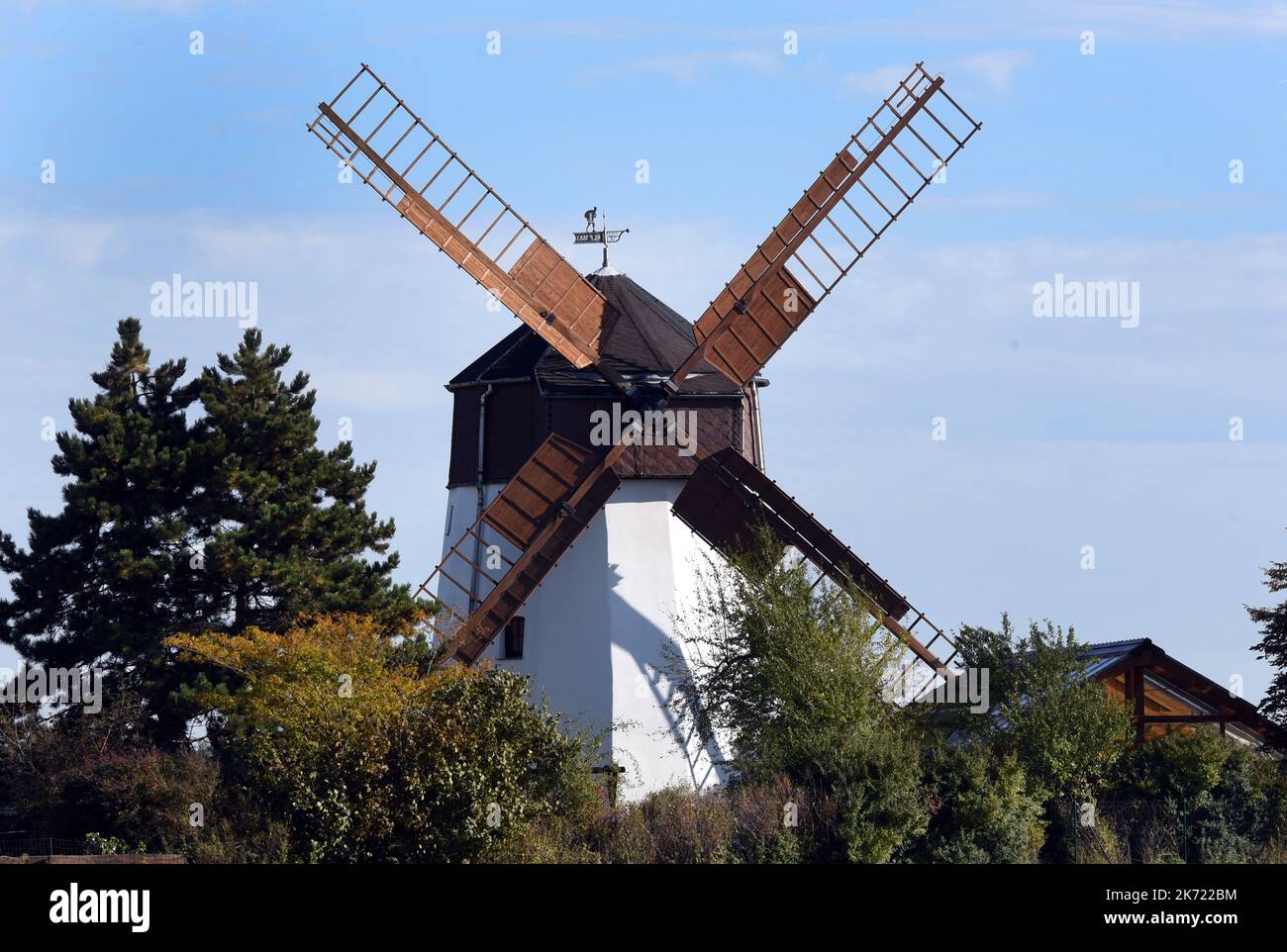Krostitz, Germania. 10th Ott 2022. Lo storico mulino a vento a torre di Anke e Andreas Hüttner del 1883 si trova tra gli alberi del Kupsal, nella Sassonia settentrionale. Quattro anni fa, i due funzionari fiscali hanno scambiato il loro appartamento nella grande città di Lipsia per la vita nella torre del mulino a vento bianco. (A dpa 'Addormentarsi dietro le ali del mulino a vento - la coppia vive nel vecchio mulino') Credit: Waltraud Grubitzsch/dpa/Alamy Live News Foto Stock