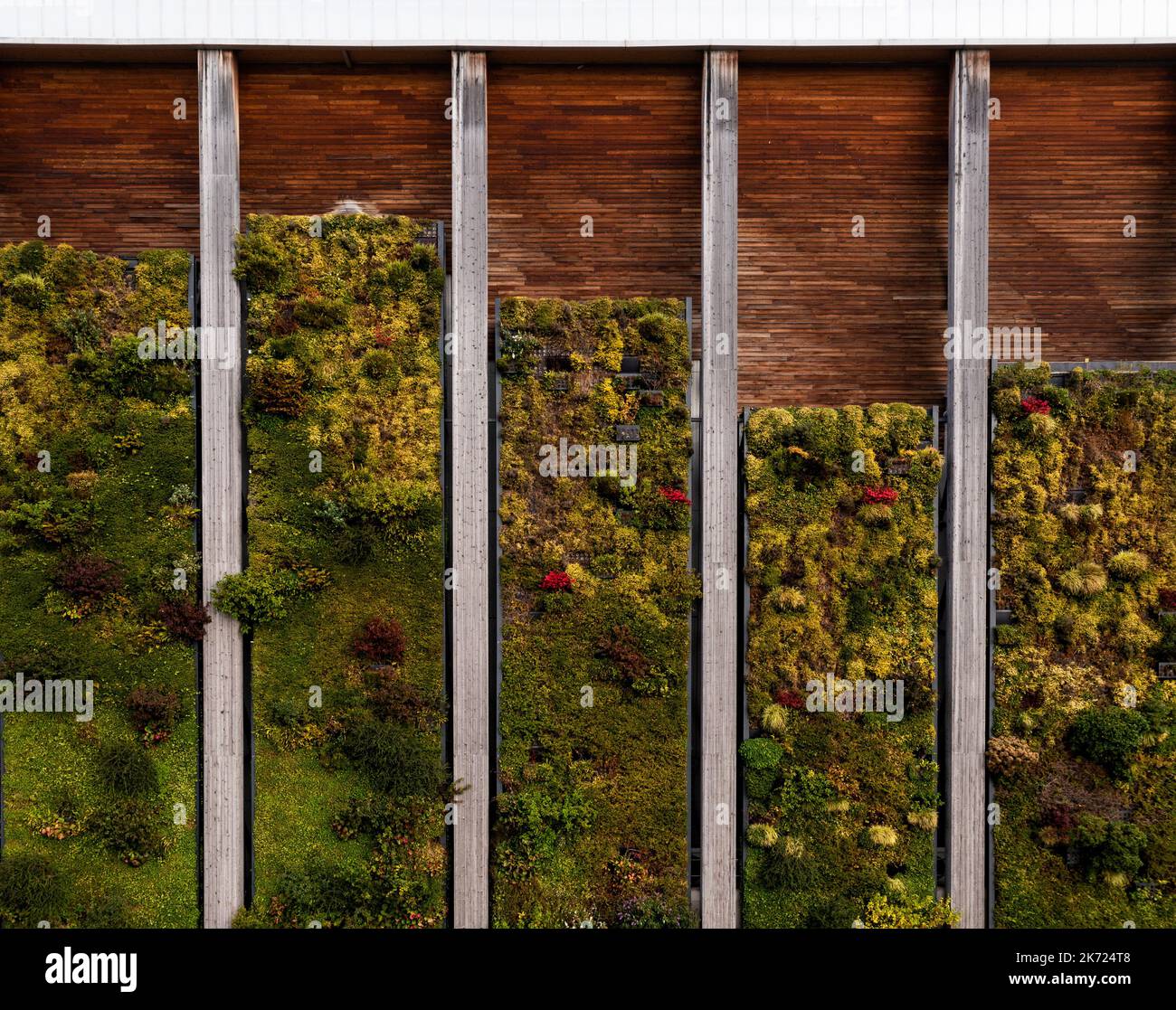 L'esterno di un grande edificio industriale con piante che crescono sul suo lato su un muro o giardino verticale per netto zero e carbonio neutra Foto Stock