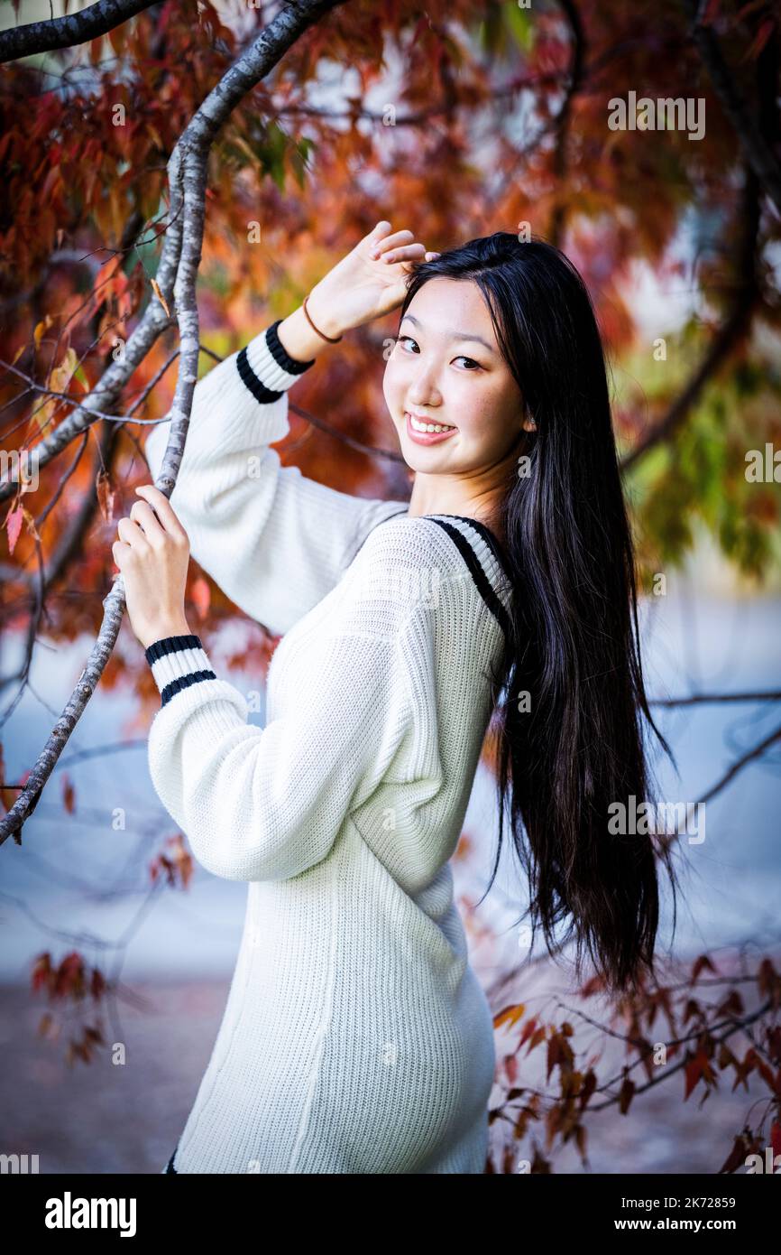 Colori autunnali | Ritratto di una ragazza asiatica snella in piedi sotto un albero d'acero Foto Stock