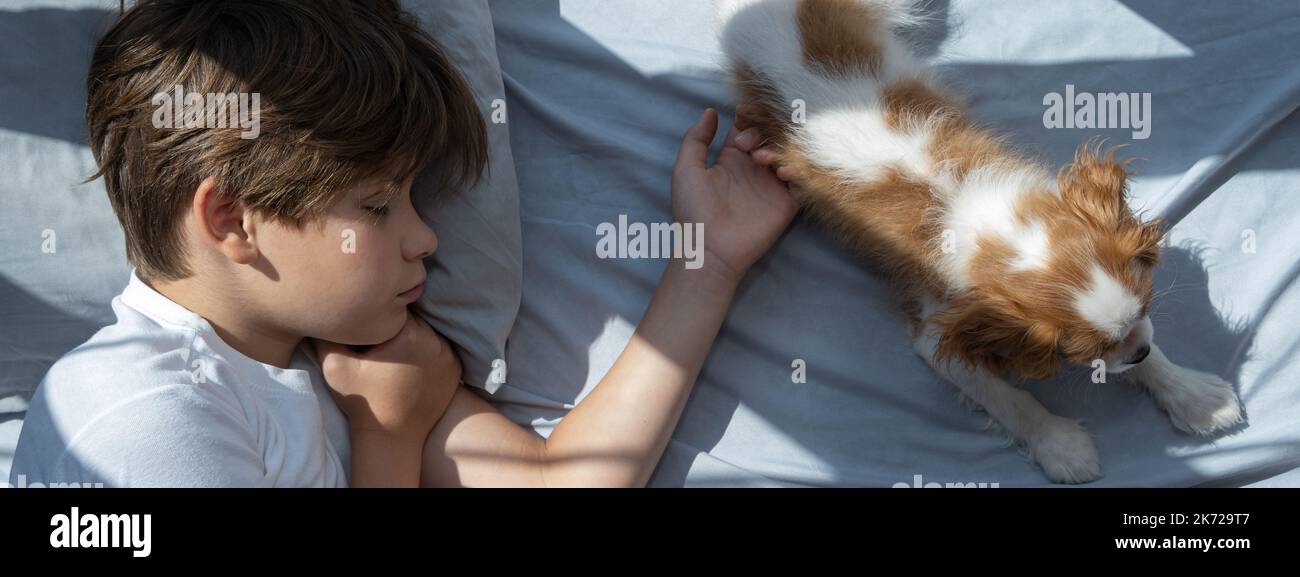 Il ragazzo con un cane in abbraccio si trova a letto. Dormire con gli animali domestici. Carino cucciolo cavalier re Charles spaniel. Foto Stock