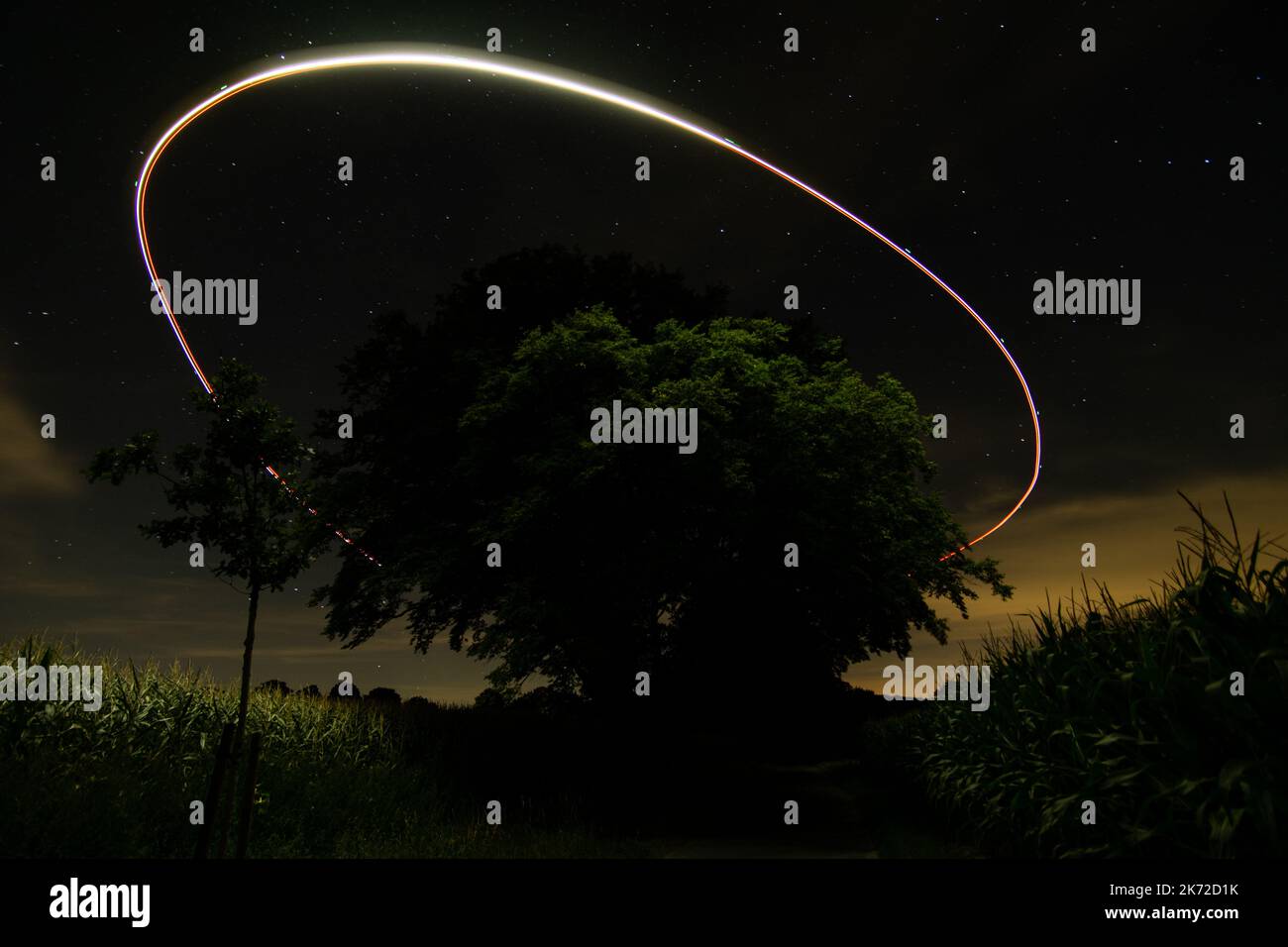 Cielo notturno con albero e cerchio di luce drone Foto Stock