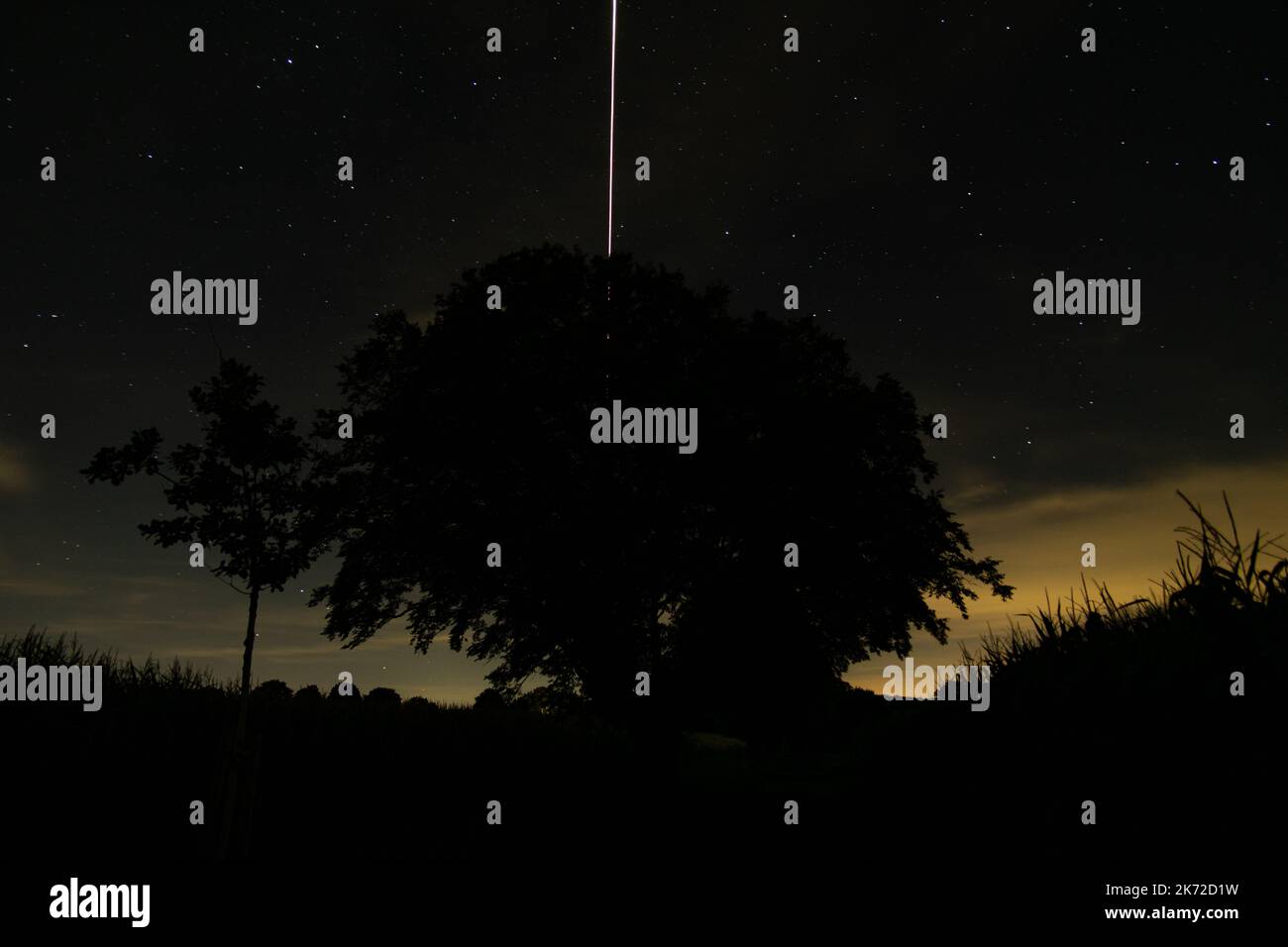 Cielo notturno con luce albero e drone Foto Stock