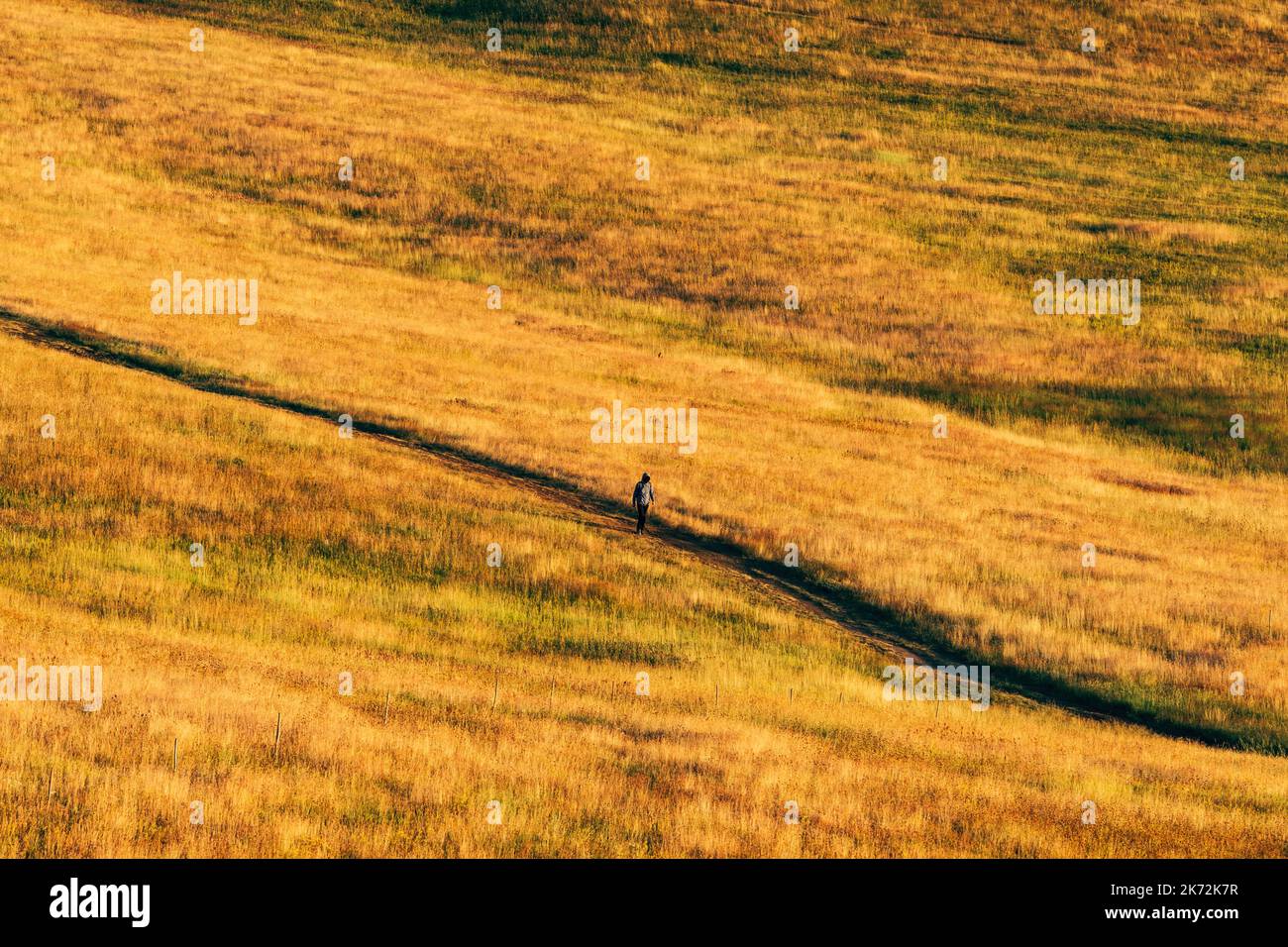 Zlatibor trekking attività all'aperto, irriconoscibile persona informale a piedi attraverso il paesaggio di erba collina in una giornata di sole estate in questo resort turistico serbo Foto Stock