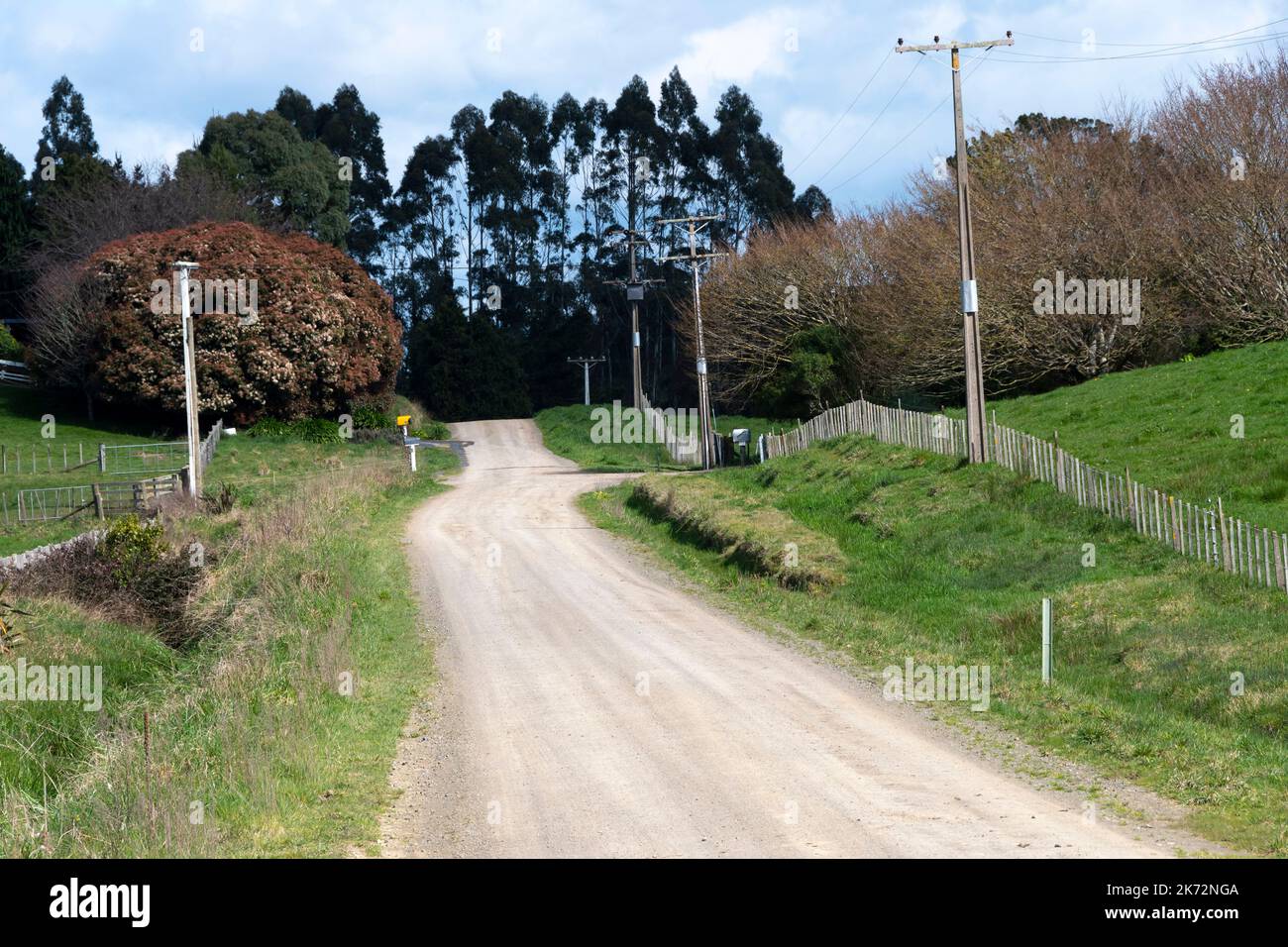 Ghiaia Road, Ormondville, Tararua District, North Island, Nuova Zelanda Foto Stock