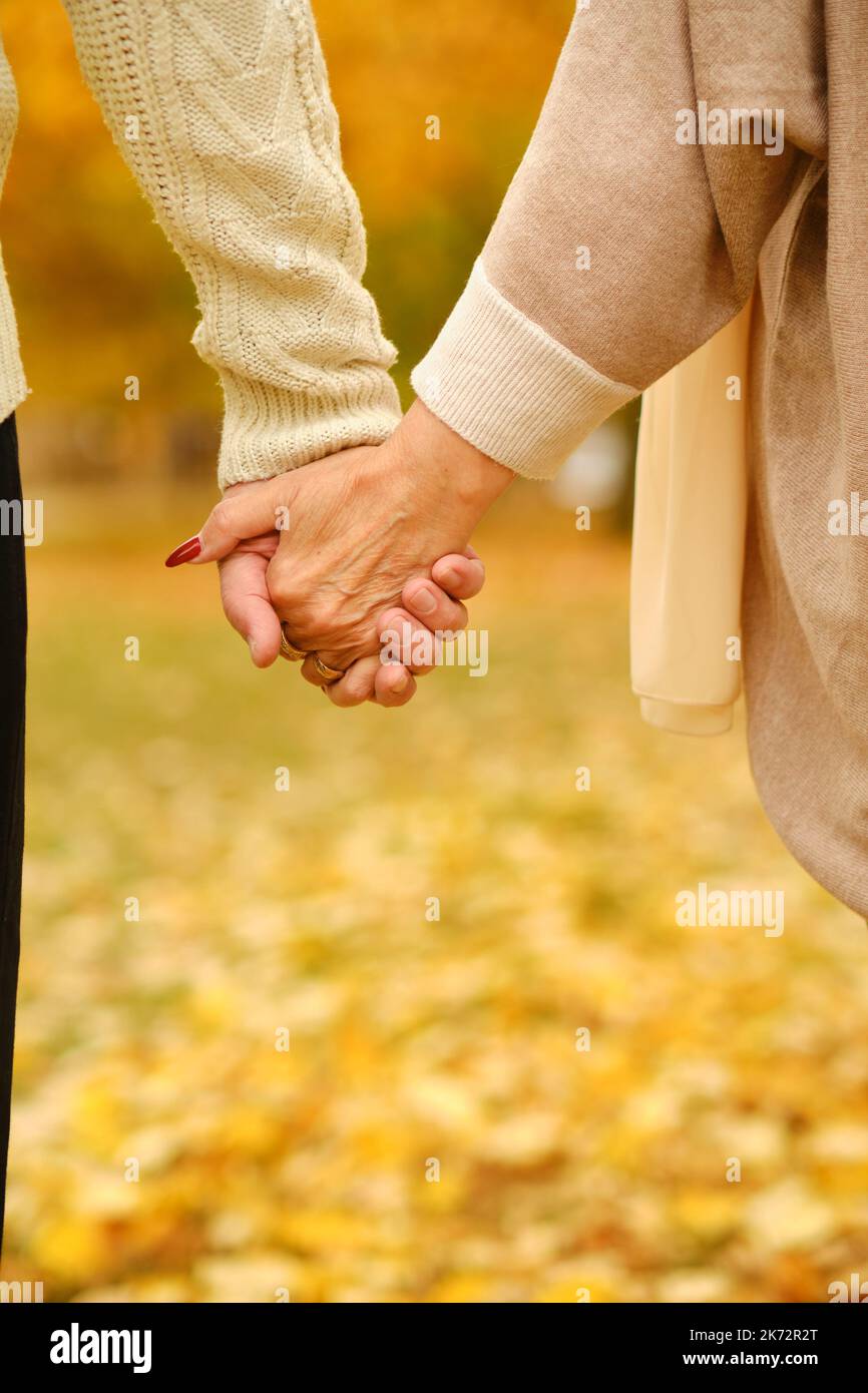 Mani che tengono insieme su uno sfondo naturale Foto Stock