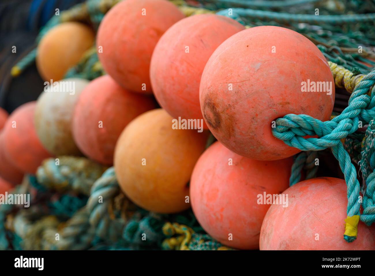Galleggianti di una rete da pesca nel porto in dettaglio vista laterale Foto Stock