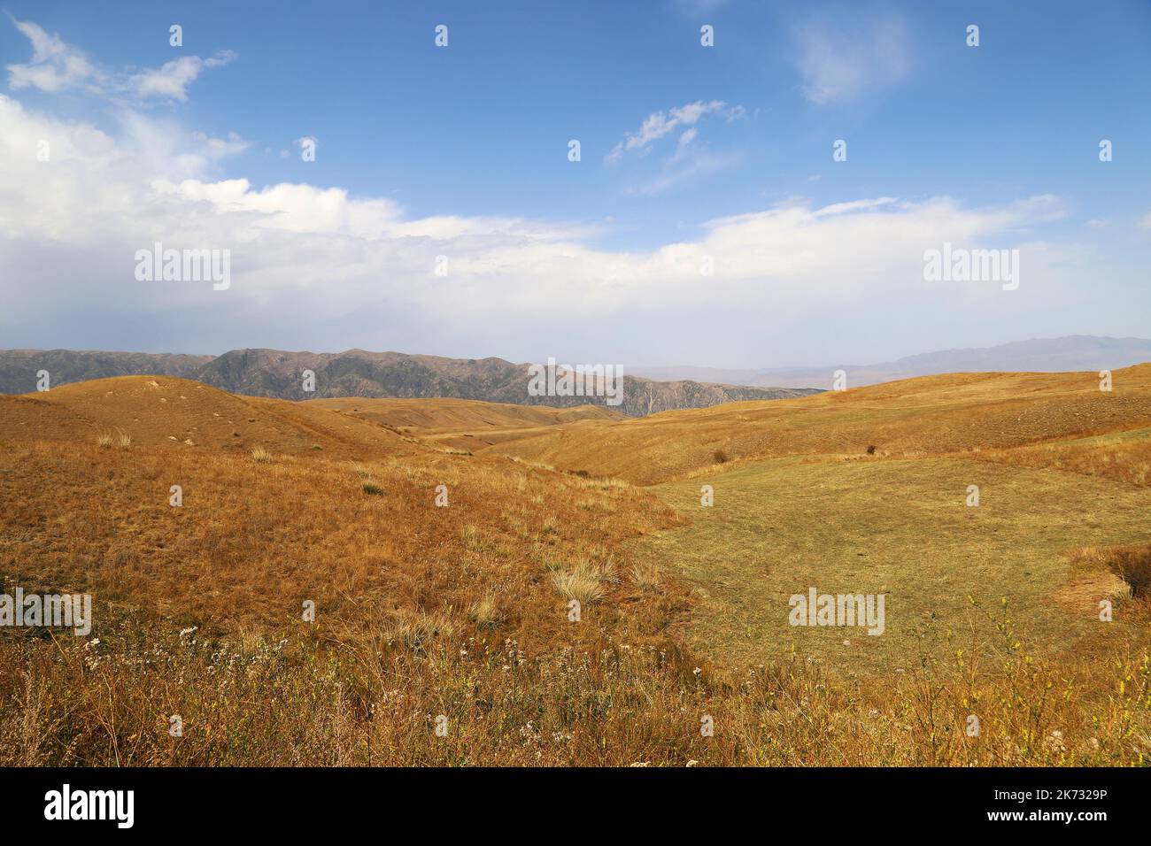 Vista dalla strada P16, Charyn Canyon, montagne Tien Shan, Regione di Almaty, Kazakistan, Asia centrale Foto Stock