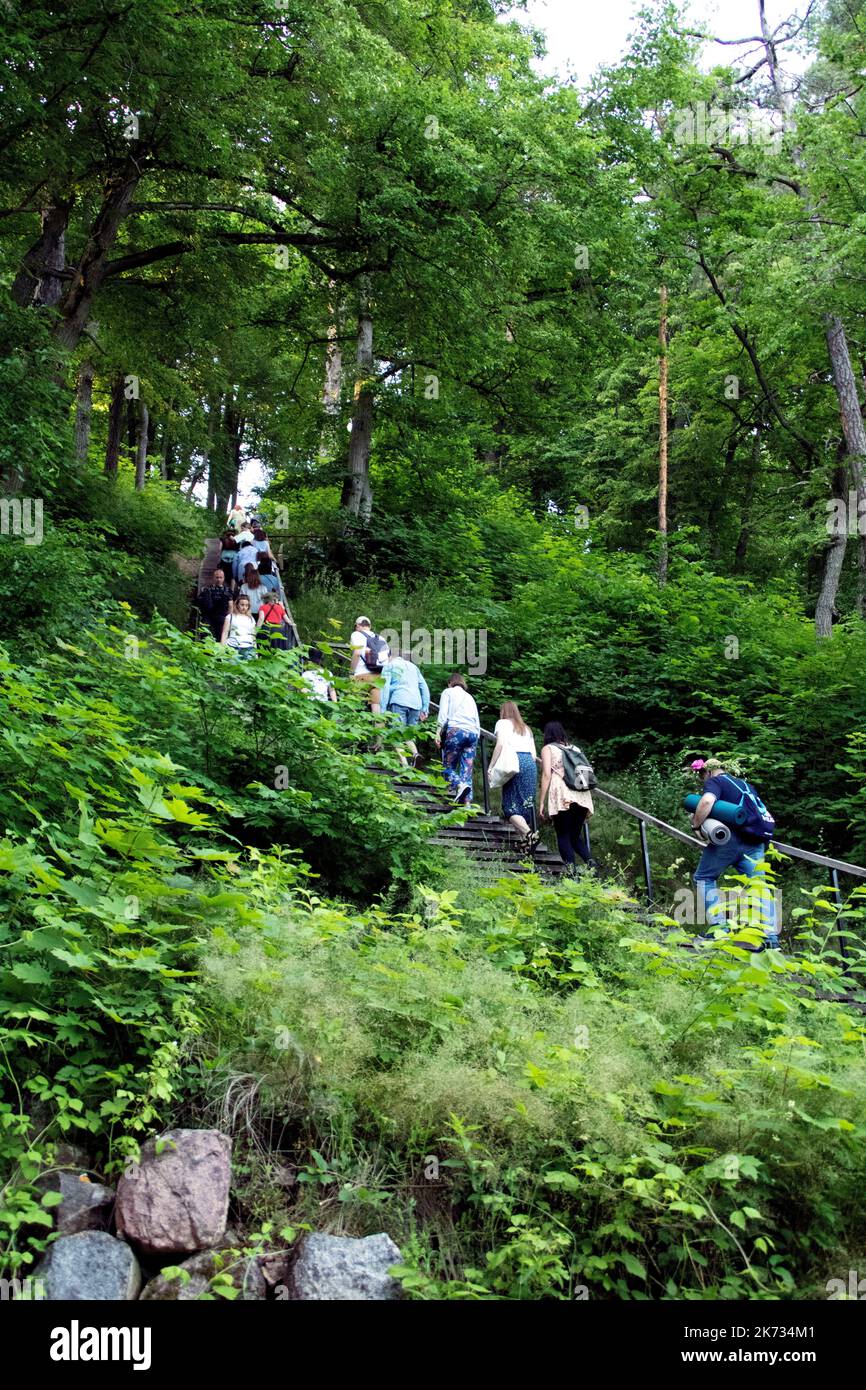 foto di persone che si arrampicano su una scala in una foresta verde Foto Stock