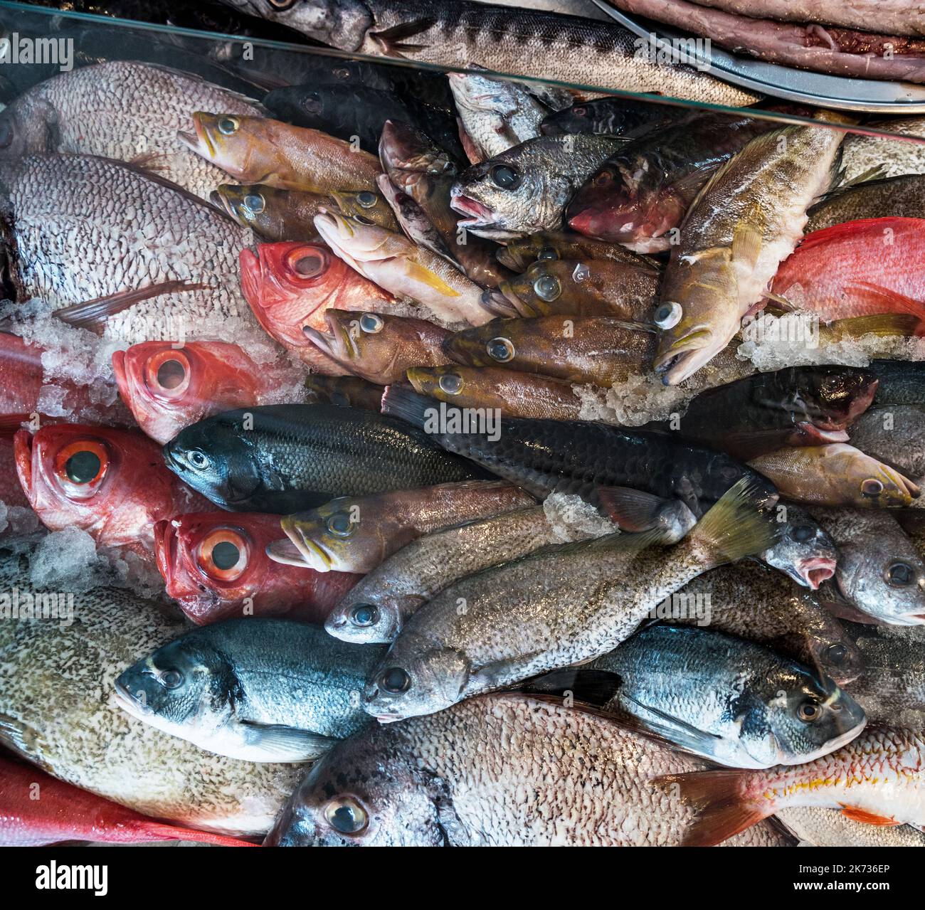 Diversità di pesce crudo oceanico sul mercato del pesce. Vista dall'alto. Foto Stock