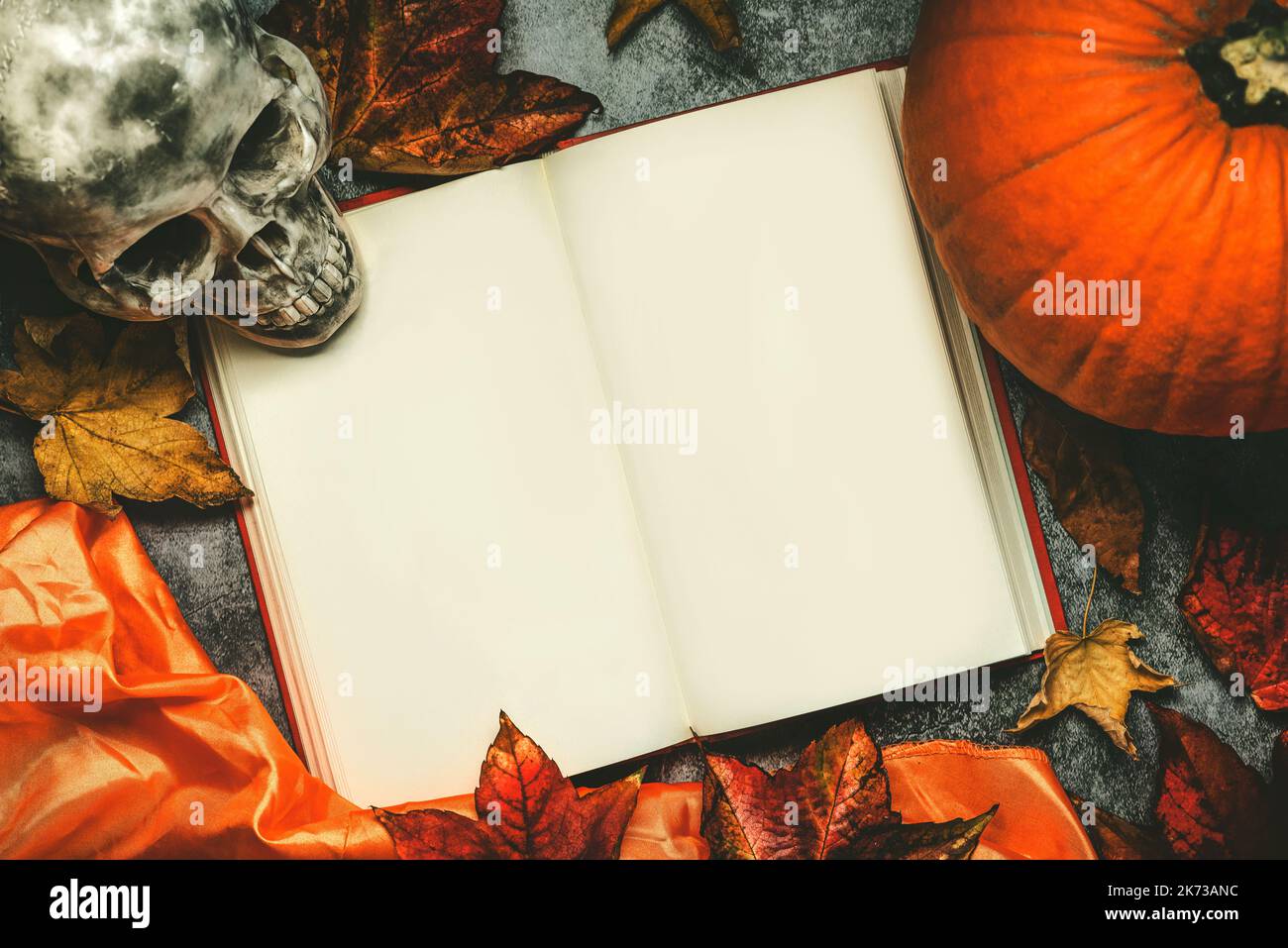 Concetto dei libri di Halloween. Vista dall'alto di un libro vuoto aperto con spazio copia, cranio, zucca di Halloween e foglie autunnali sullo sfondo grunge. Hallowee Foto Stock