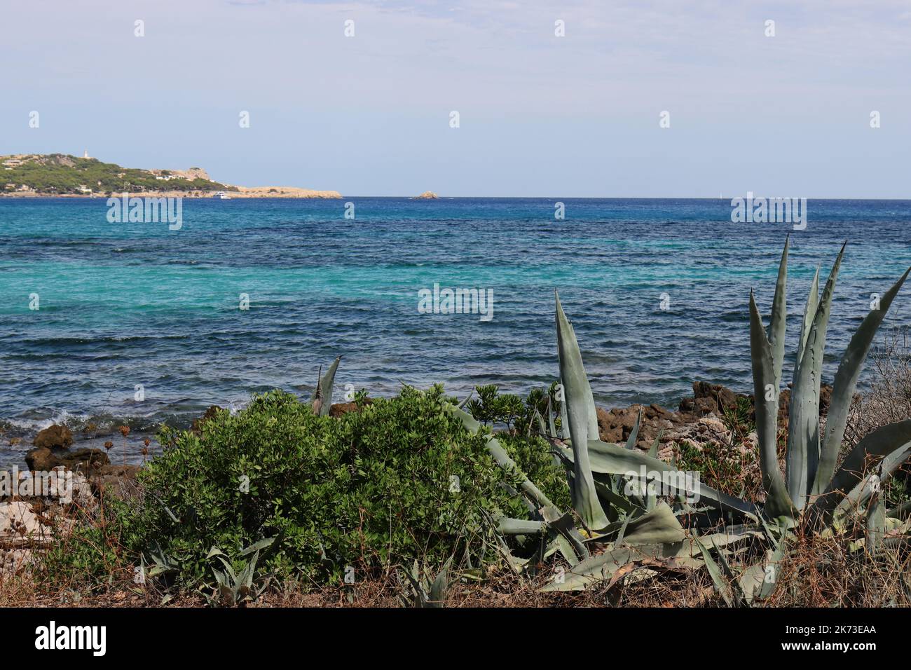 Vista del Mar Mediterraneo blu e turchese con vegetazione verde in primo piano, Cala Ratjada, Maiorca, copia spazio Foto Stock