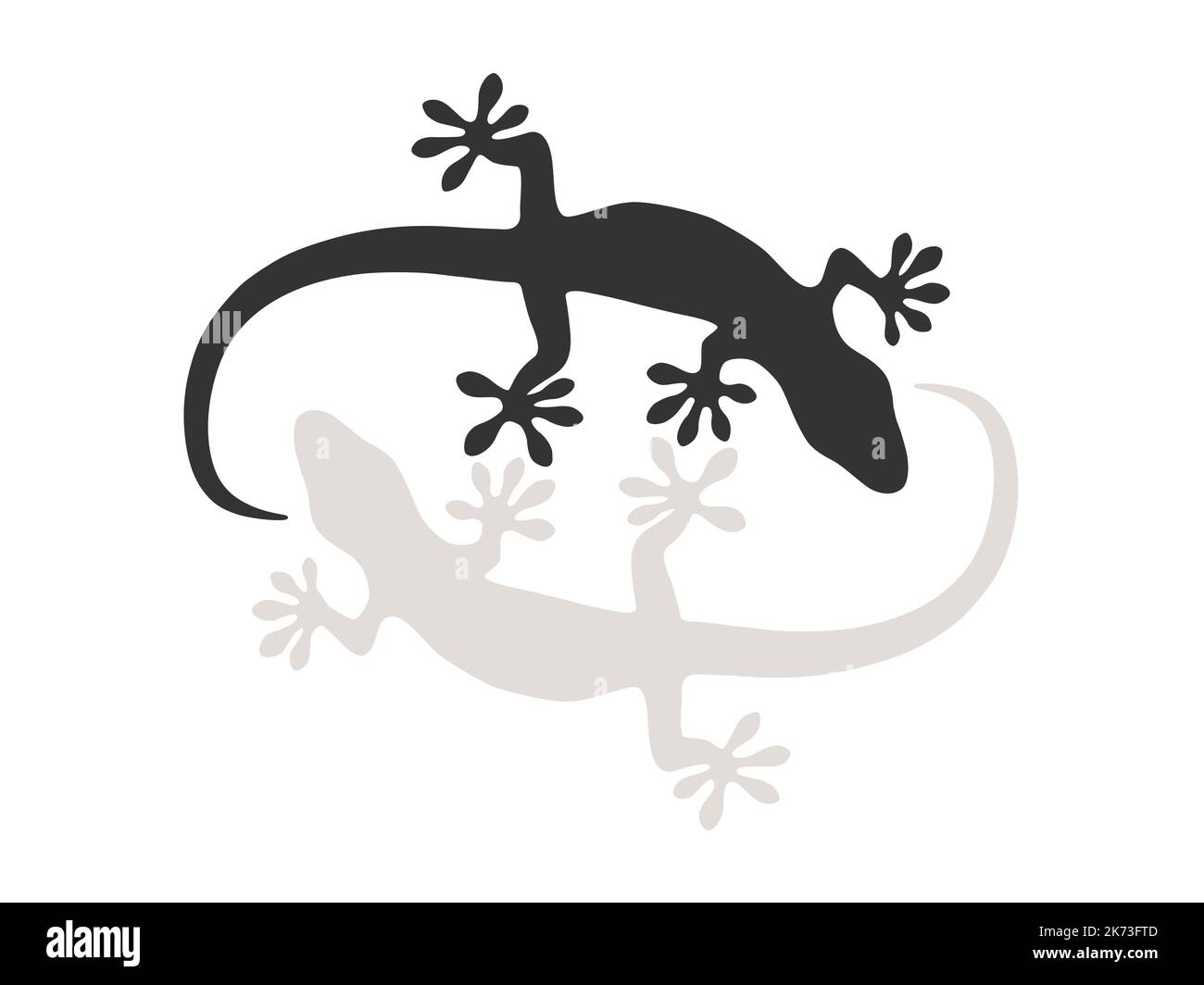Geckos su sfondo bianco Illustrazione Vettoriale