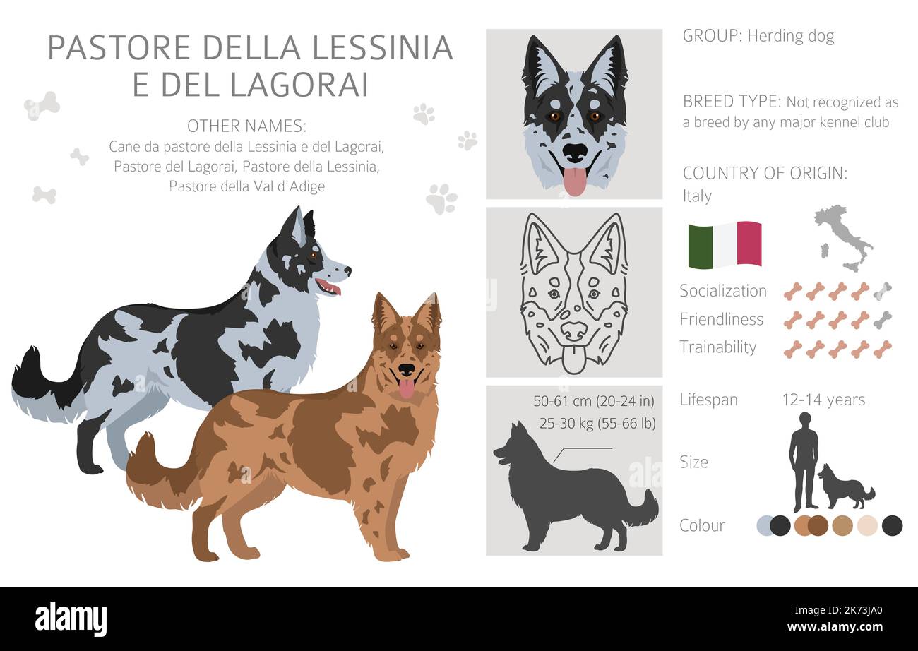 Pastore della Lessinia e della clipart del Lagorai. Set di tutti i