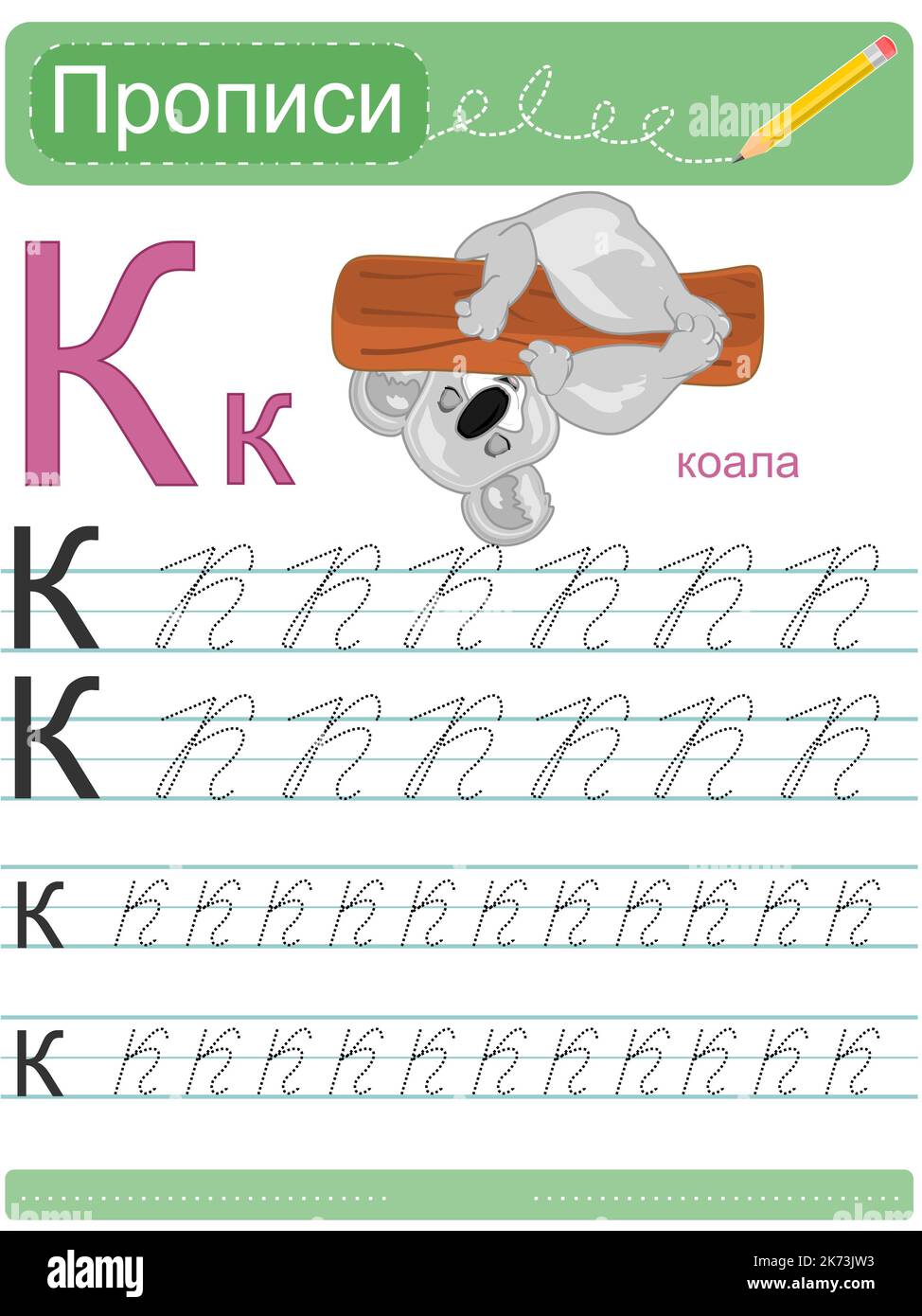 koala e lettera k Foto Stock